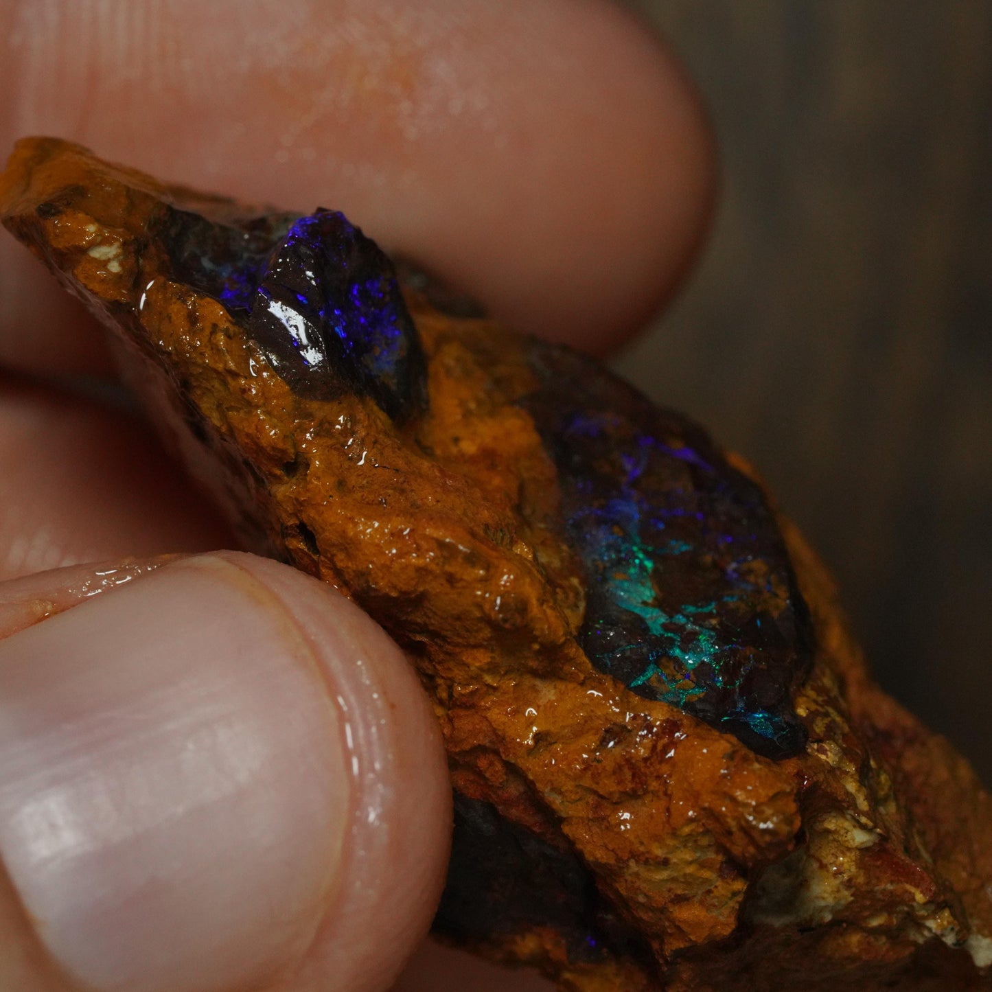 Boulder Opal
