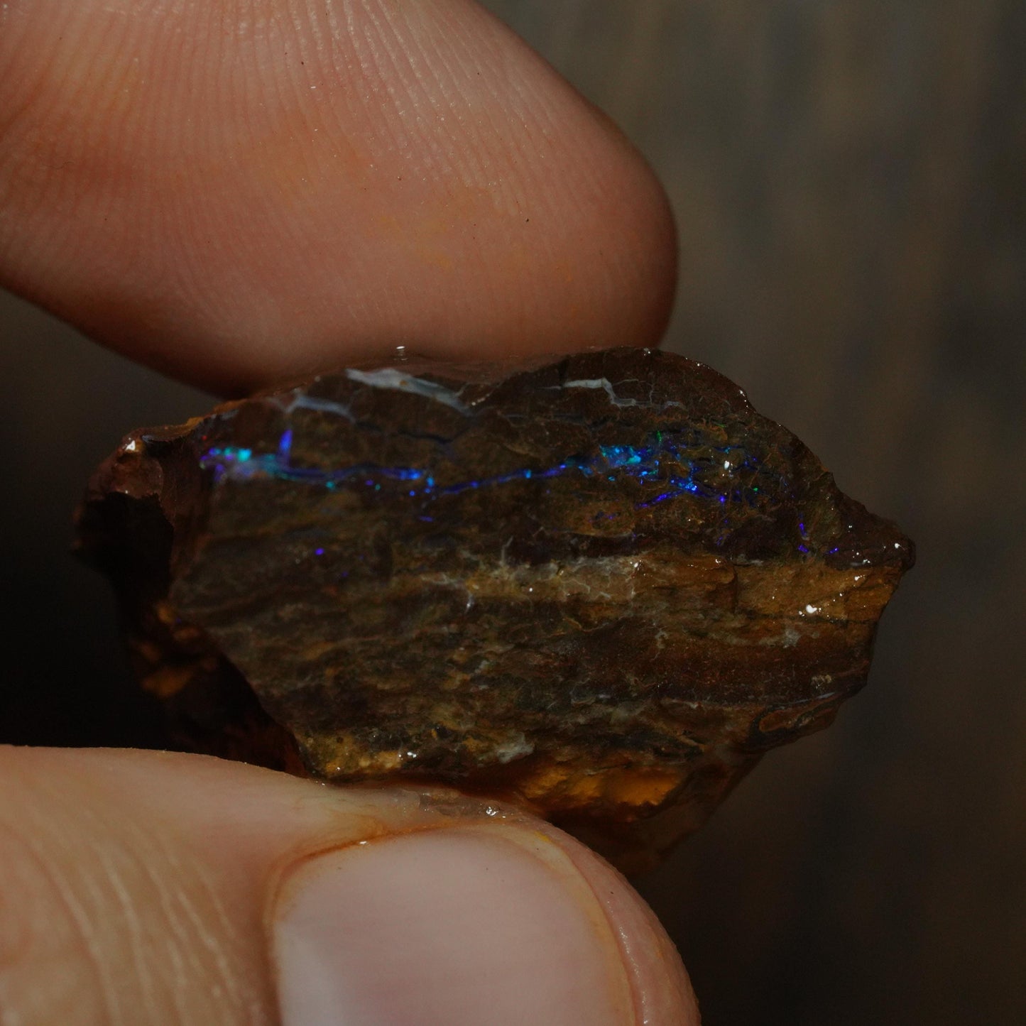 Boulder Opal
