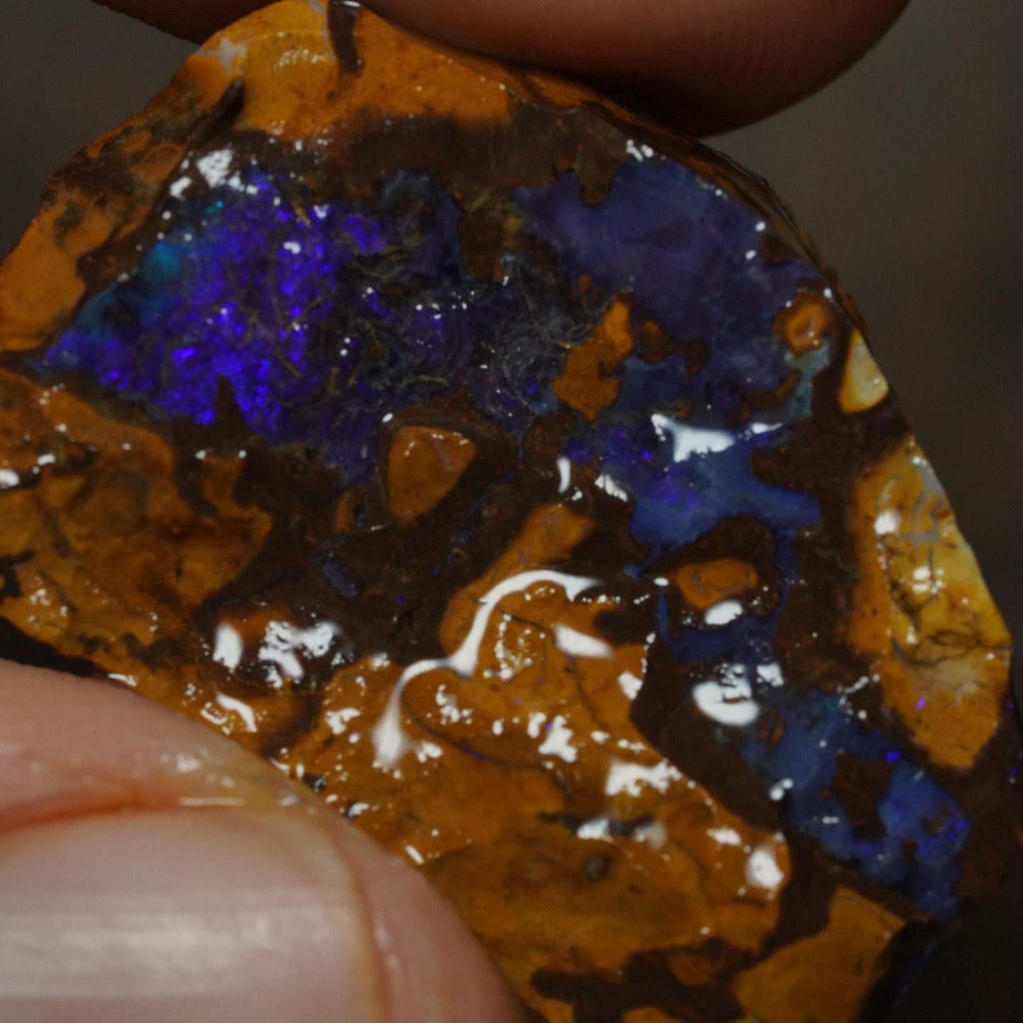 Boulder Opal