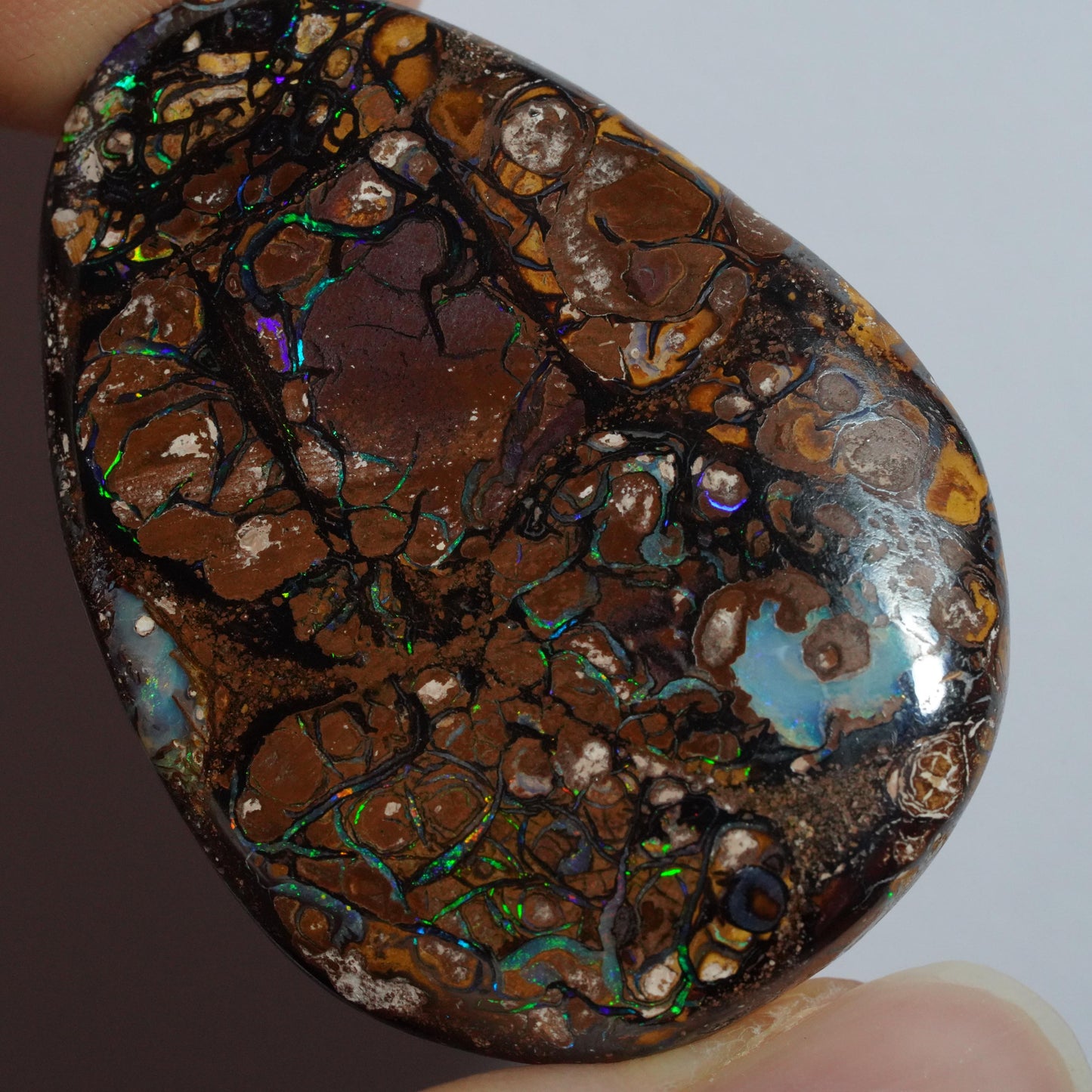 Boulder Opal Cut Stone