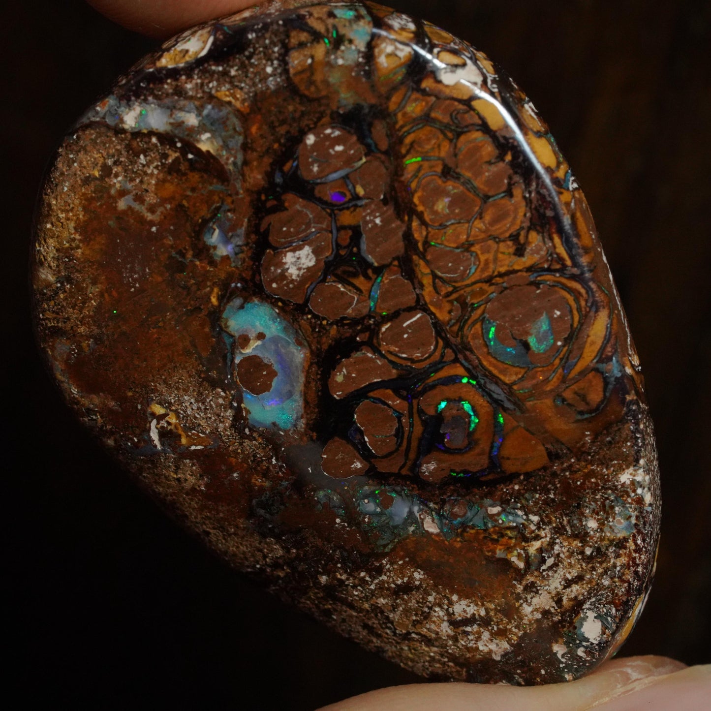 Boulder Opal Cut Stone