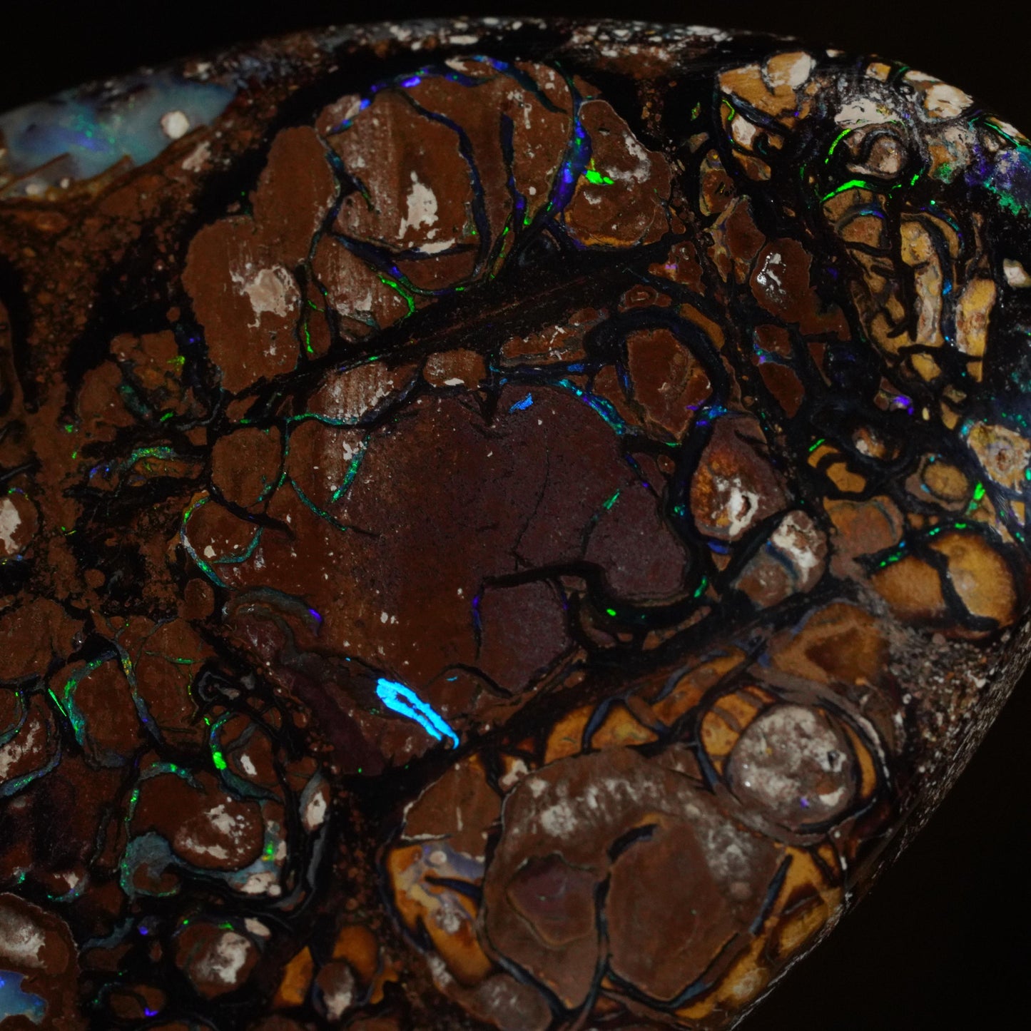 Boulder Opal Cut Stone