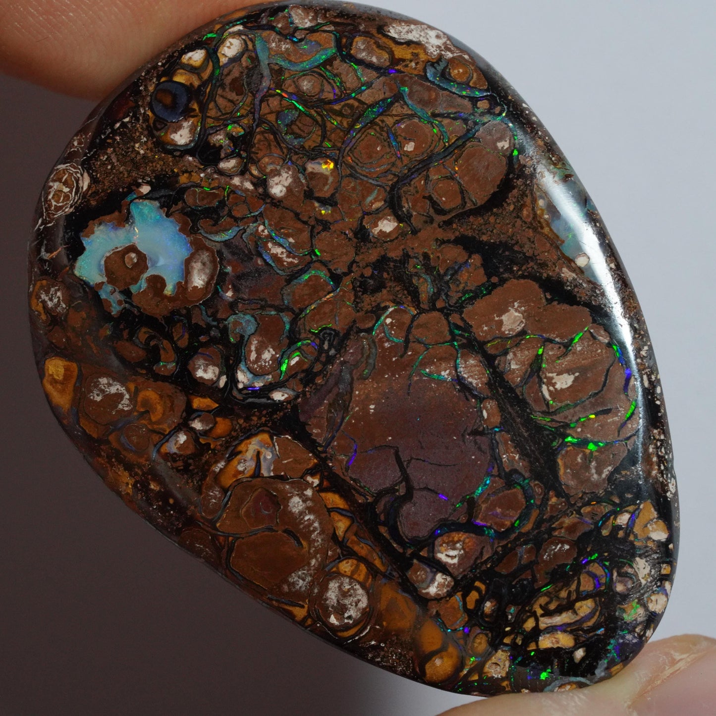 Boulder Opal Cut Stone