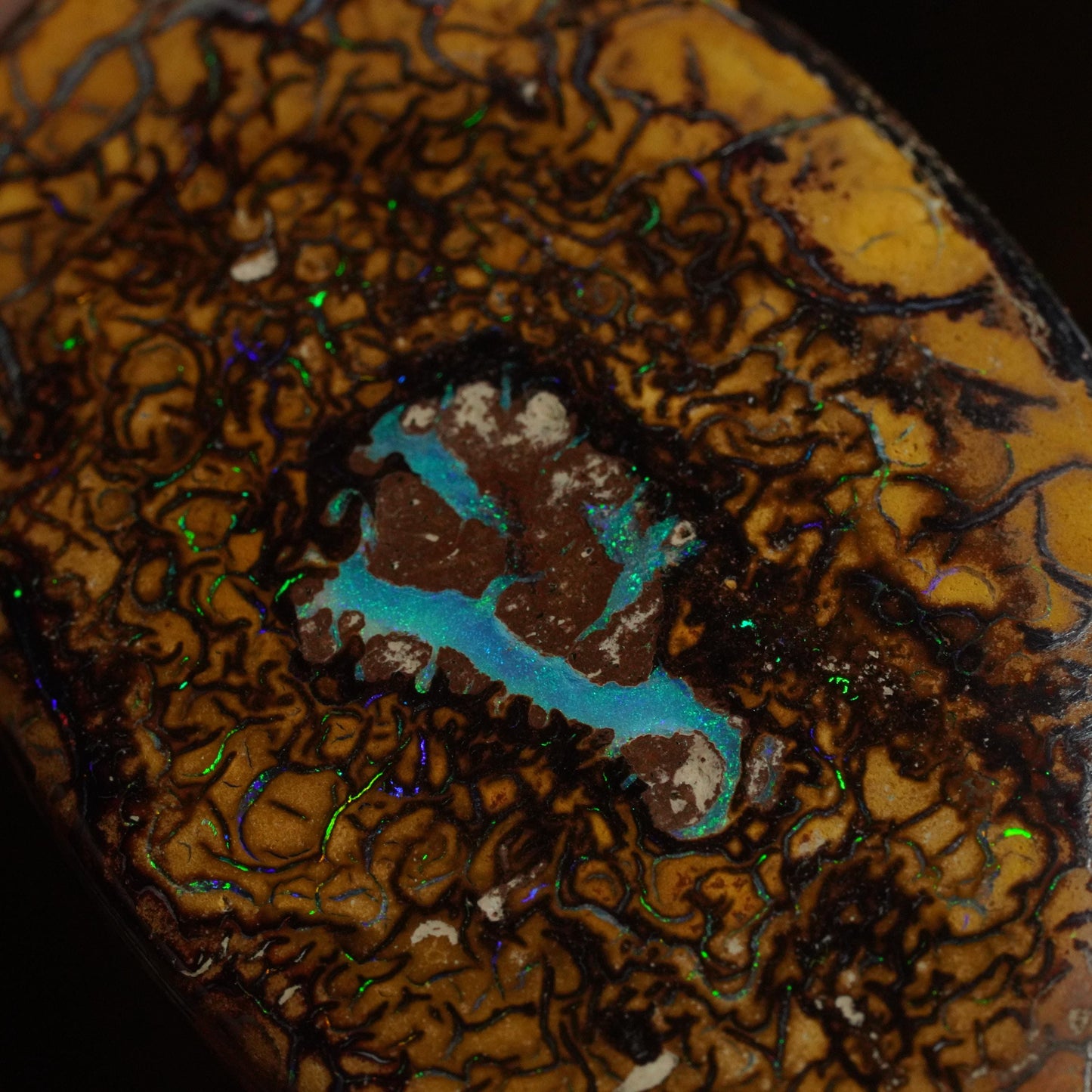 Boulder Opal Cut Stone