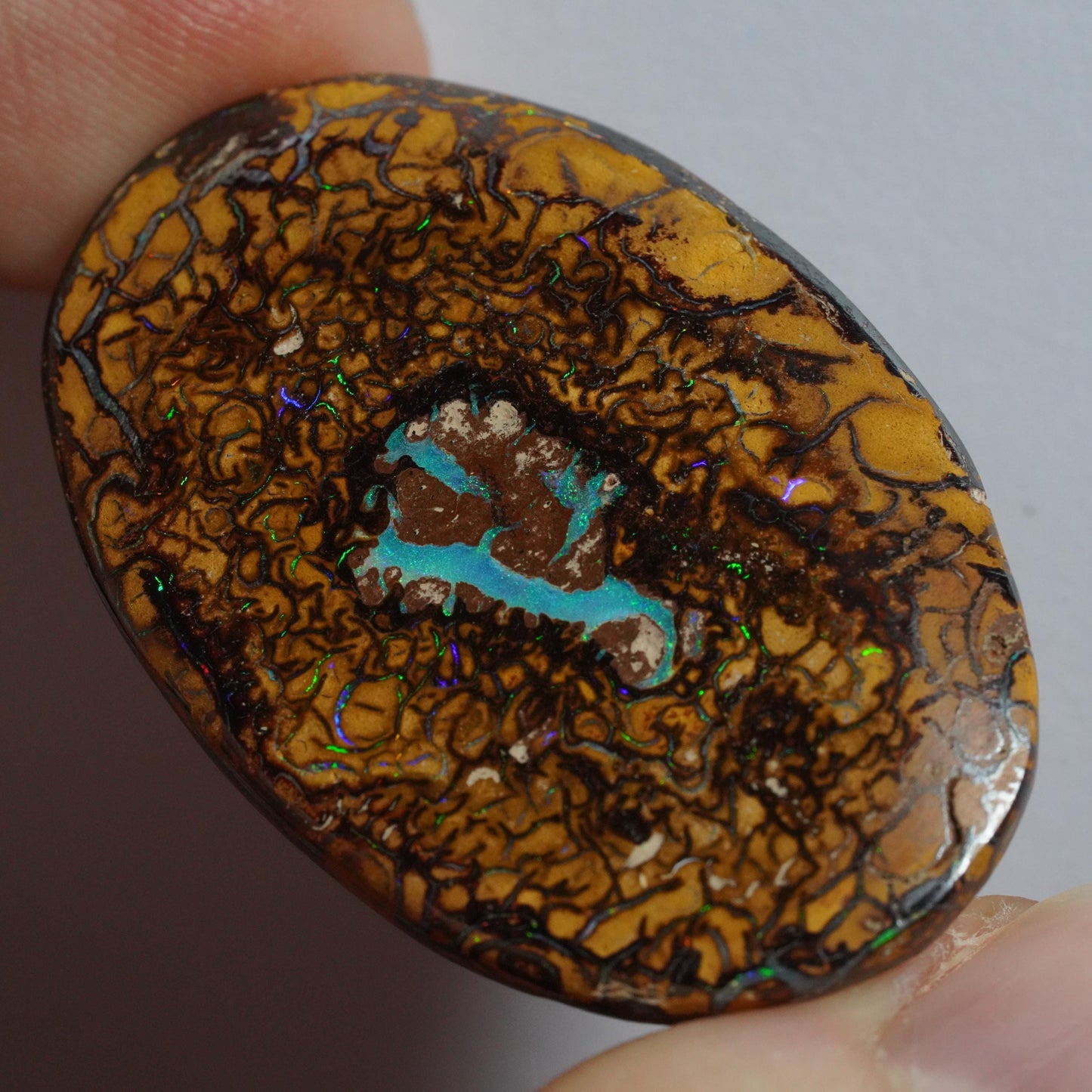 Boulder Opal Cut Stone