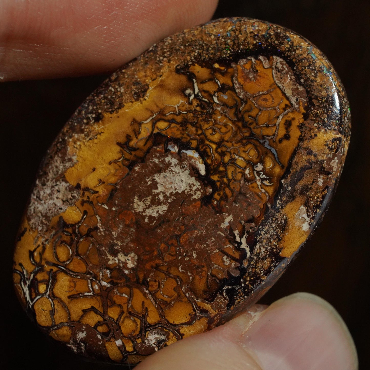 Boulder Opal Cut Stone