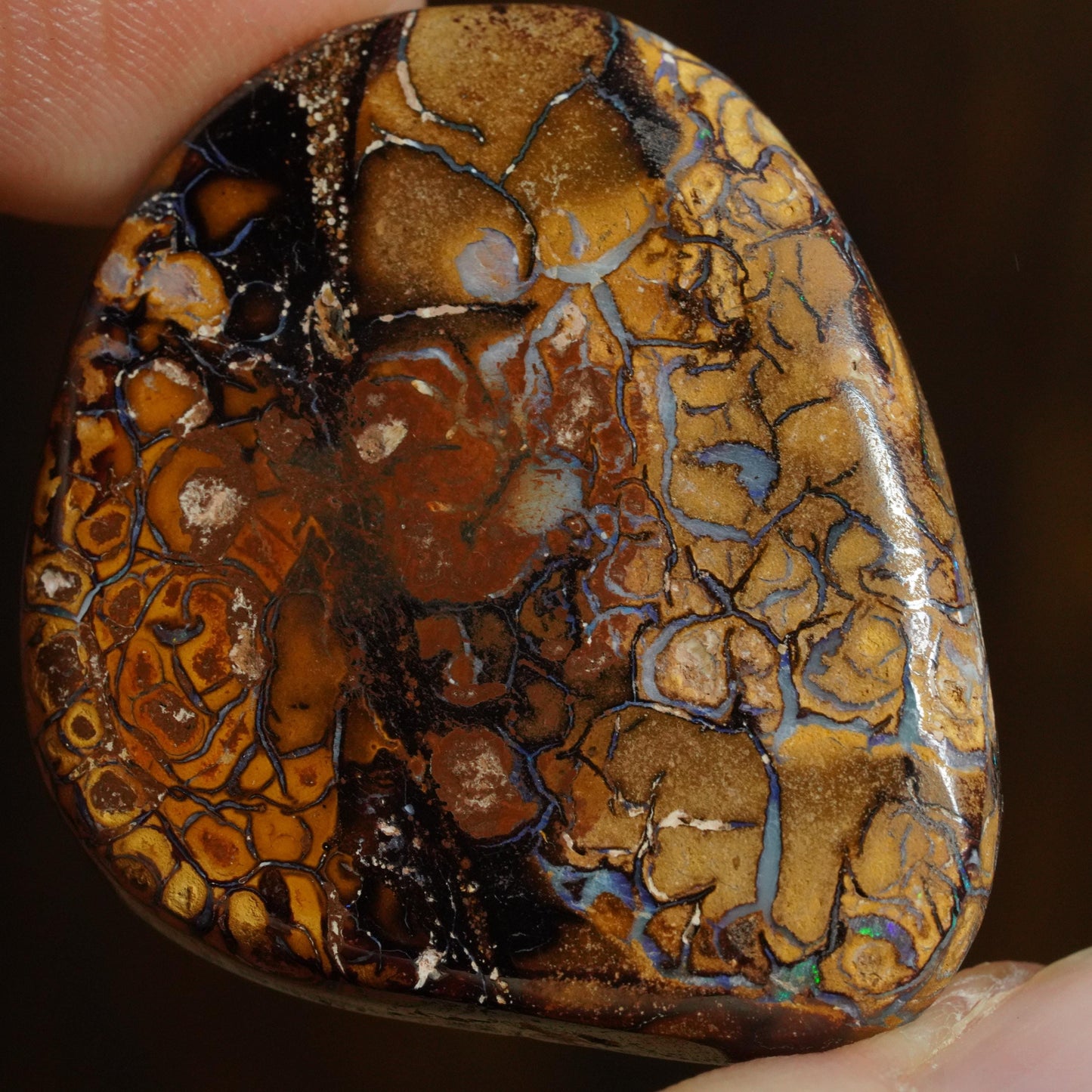 Boulder Opal Cut Stone