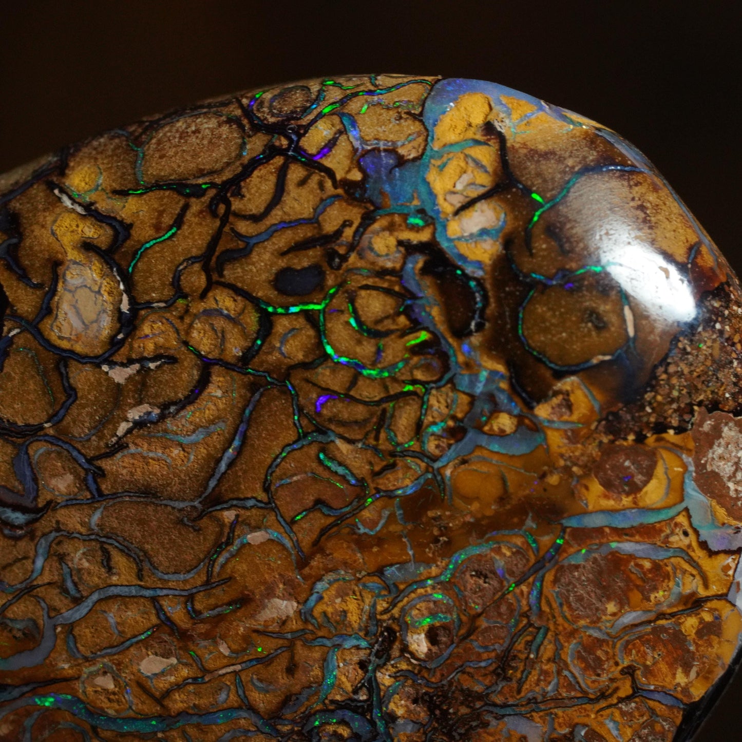 Boulder Opal Cut Stone