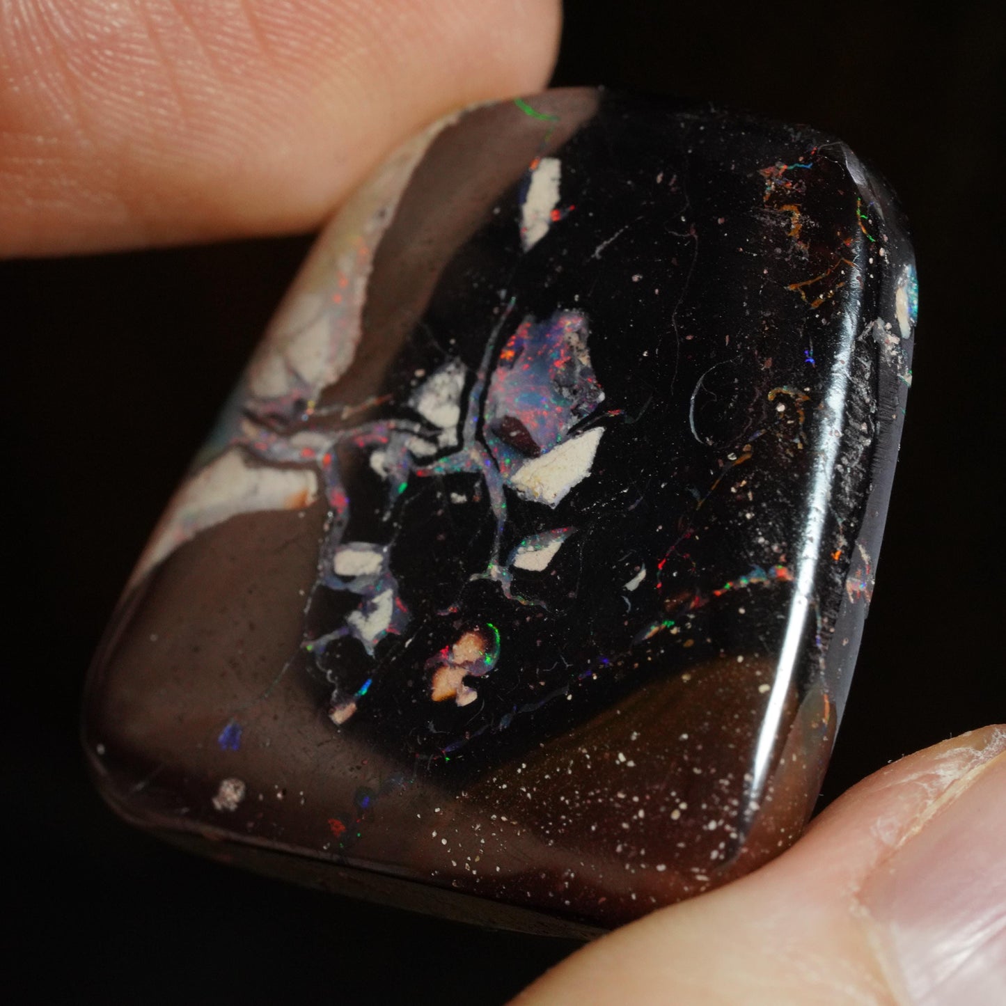 Boulder Opal Cut Stone