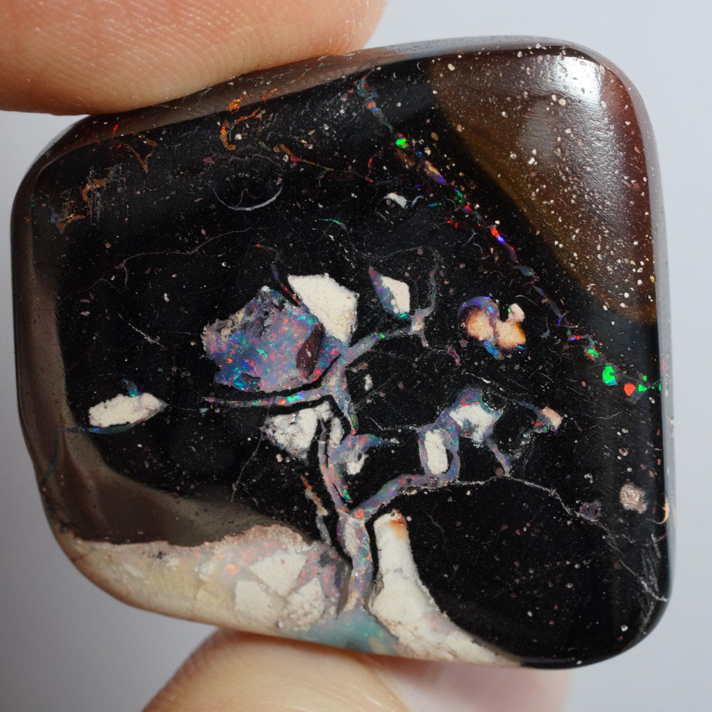 Boulder Opal Cut Stone