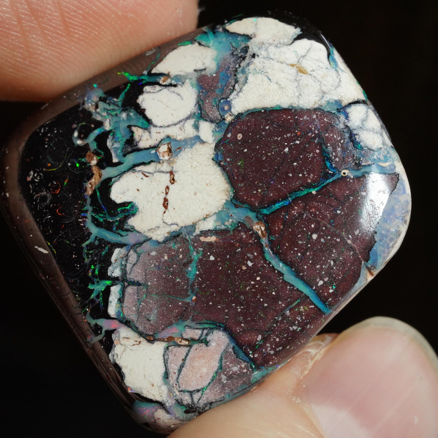 Boulder Opal Cut Stone
