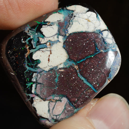 Boulder Opal Cut Stone