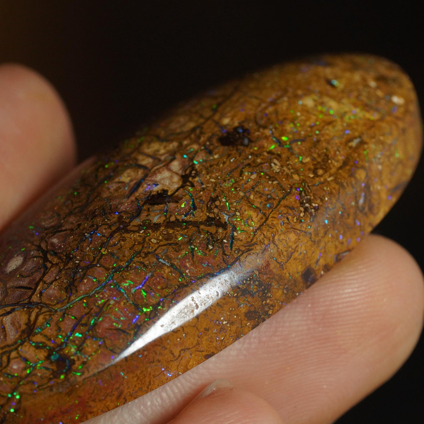 Boulder Opal Cut Stone