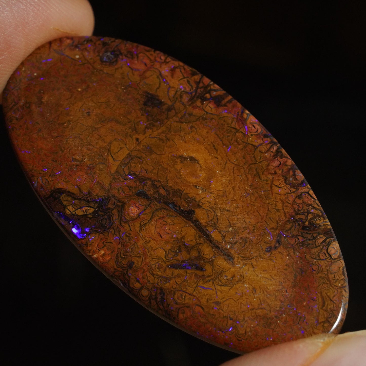 Boulder Opal Cut Stone