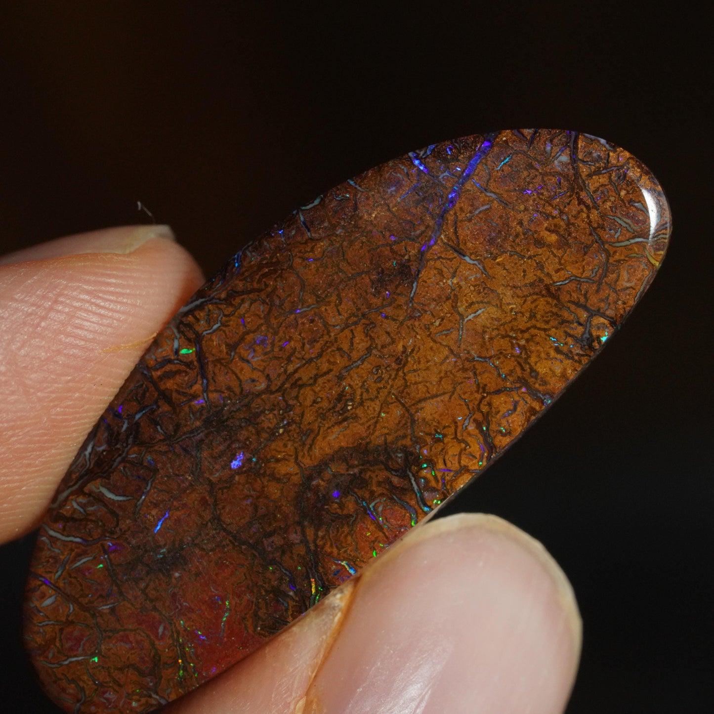 Boulder Opal Cut Stone