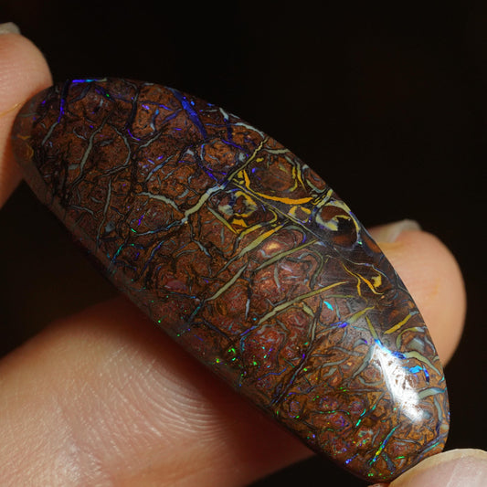 Boulder Opal Cut Stone
