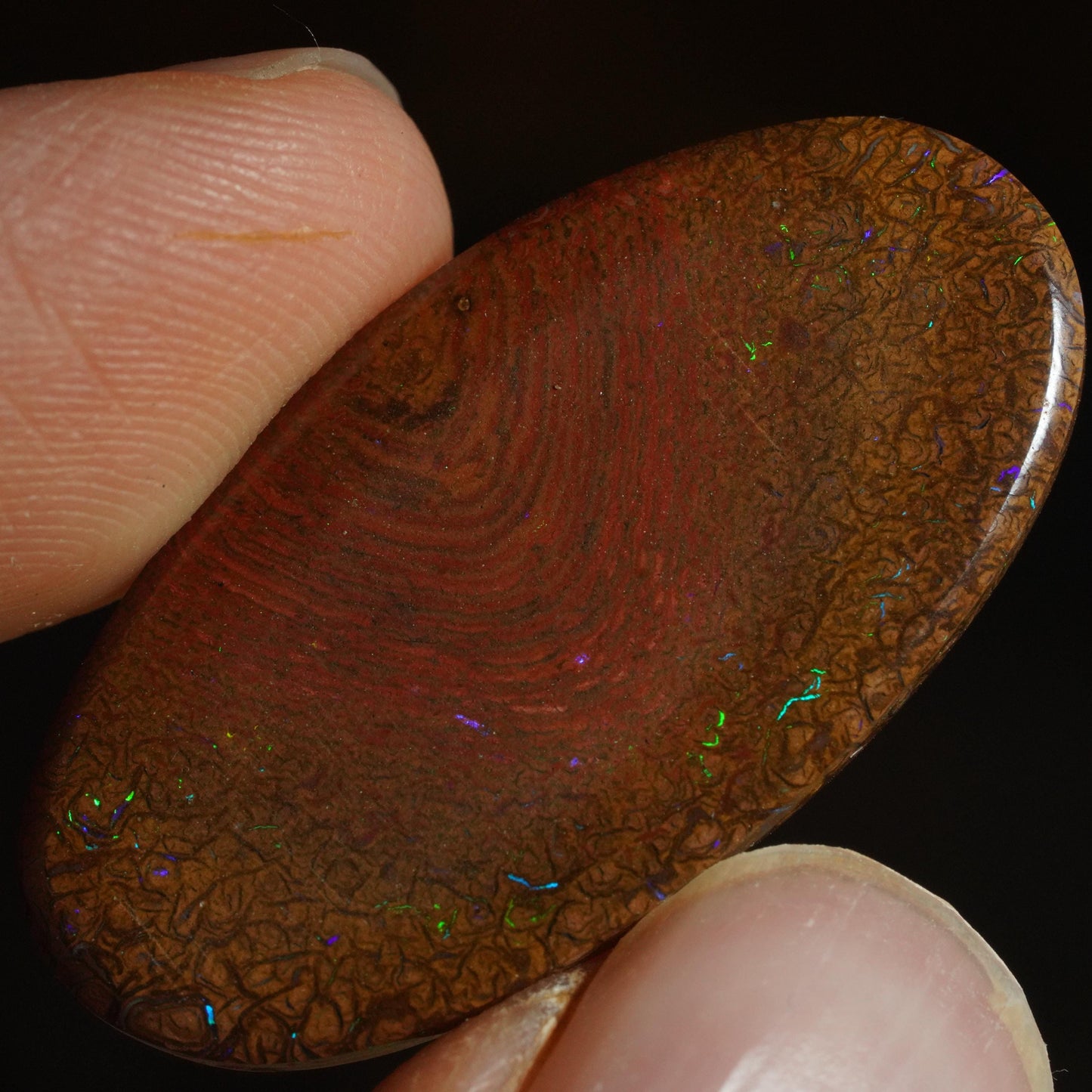 Boulder Opal Cut Stone