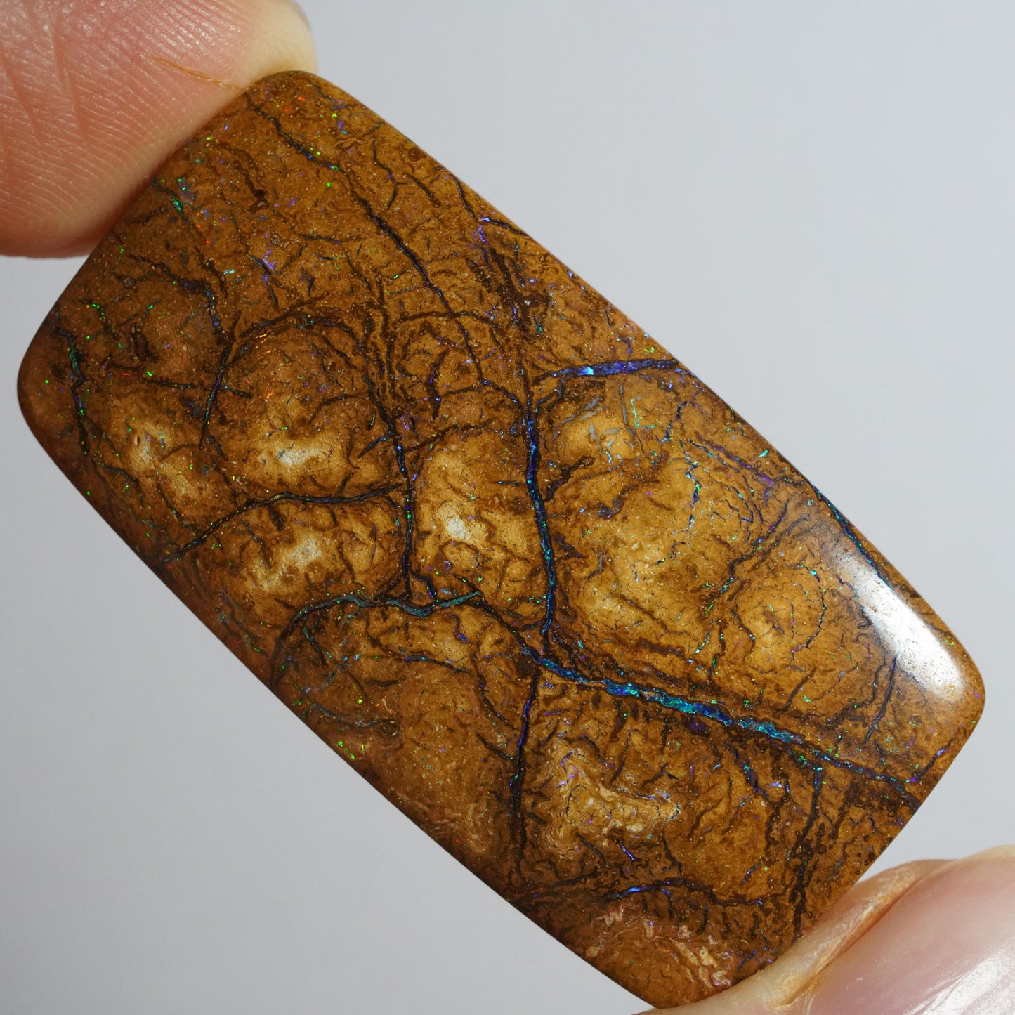 Boulder Opal Cut Stone