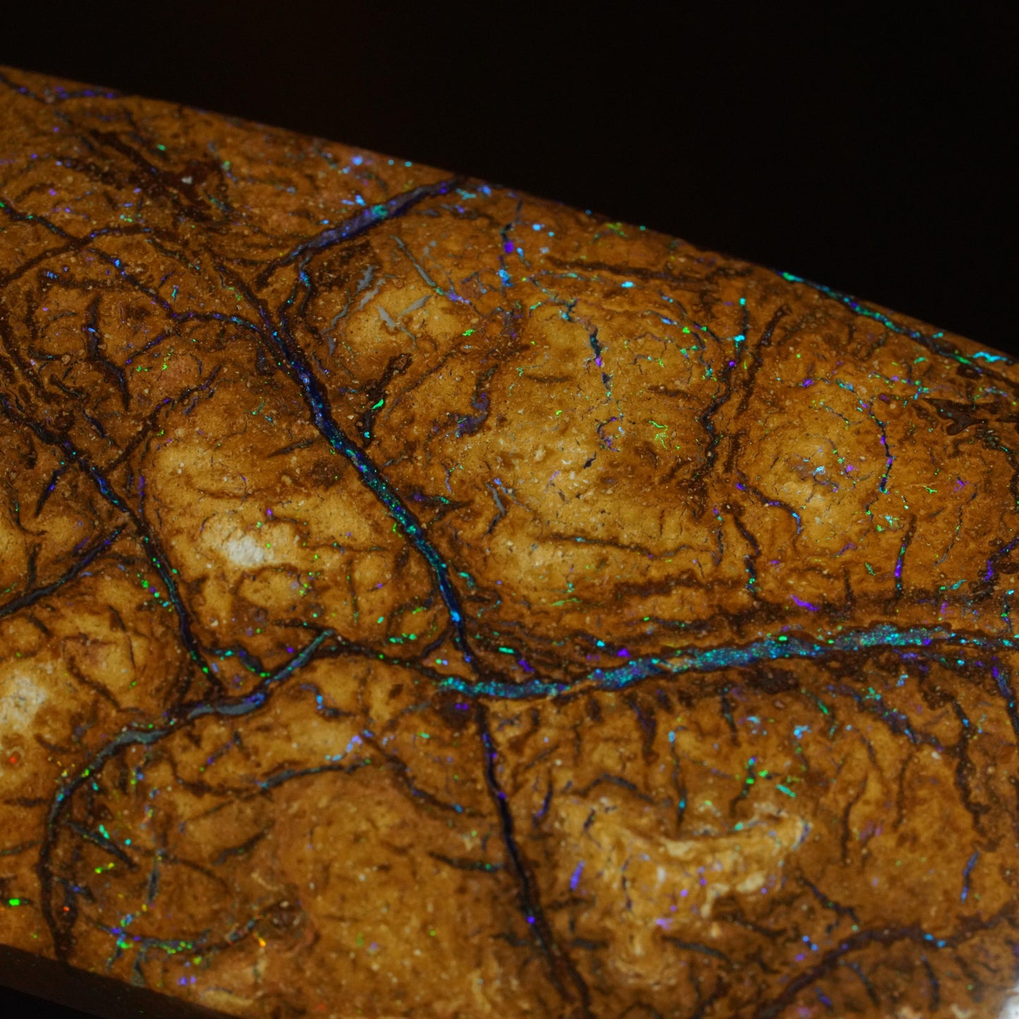 Boulder Opal Cut Stone