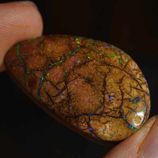 Boulder Opal Cut Stone