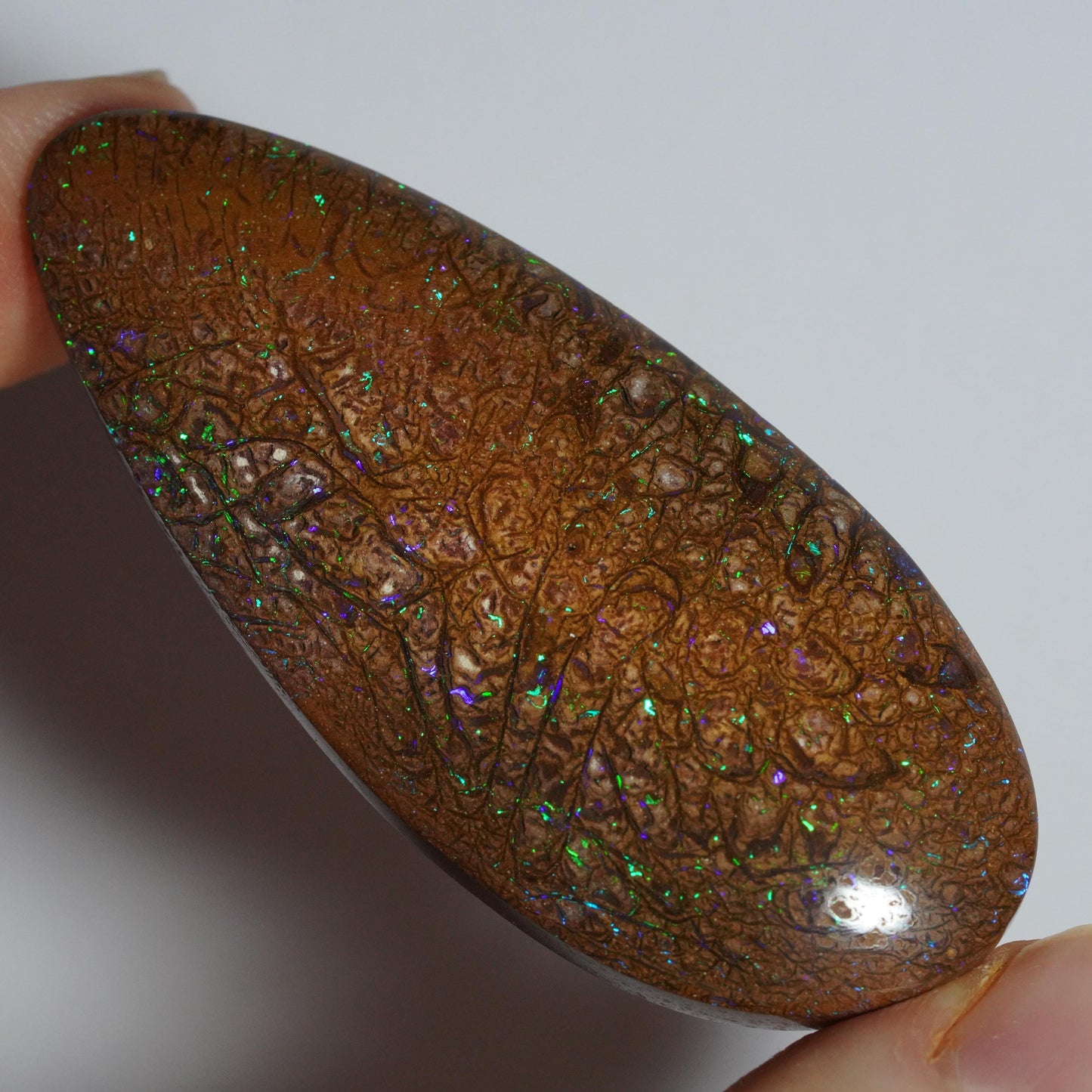 Boulder Opal Cut Stone
