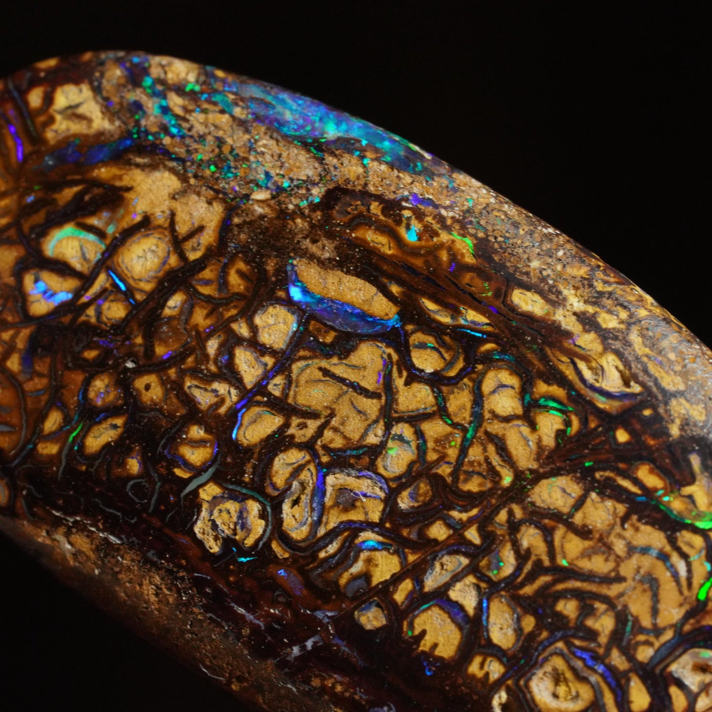 Boulder Opal Cut Stone
