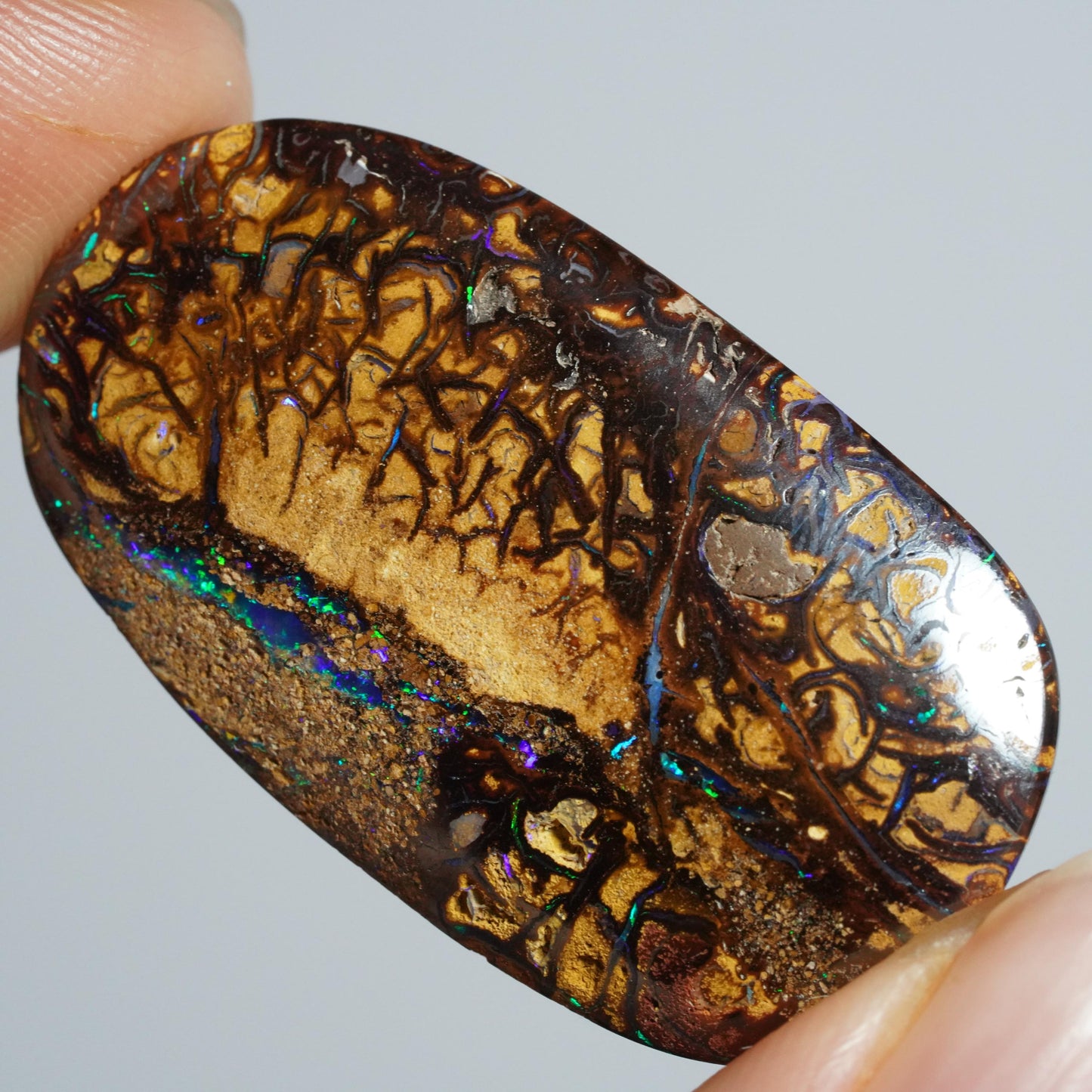Boulder Opal Cut Stone