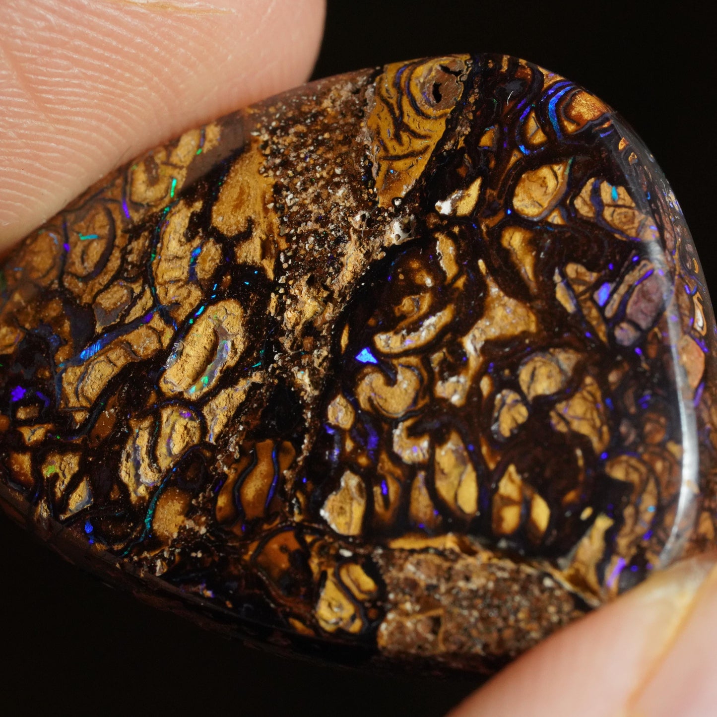 Boulder Opal Cut Stone