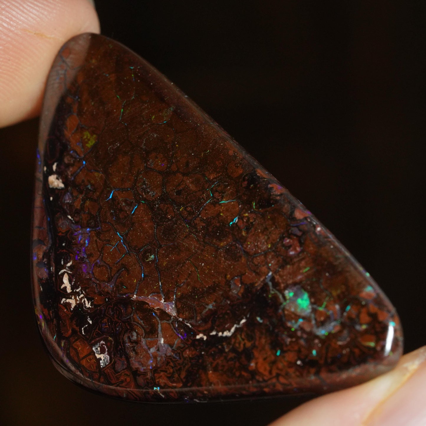 Boulder Opal Cut Stone