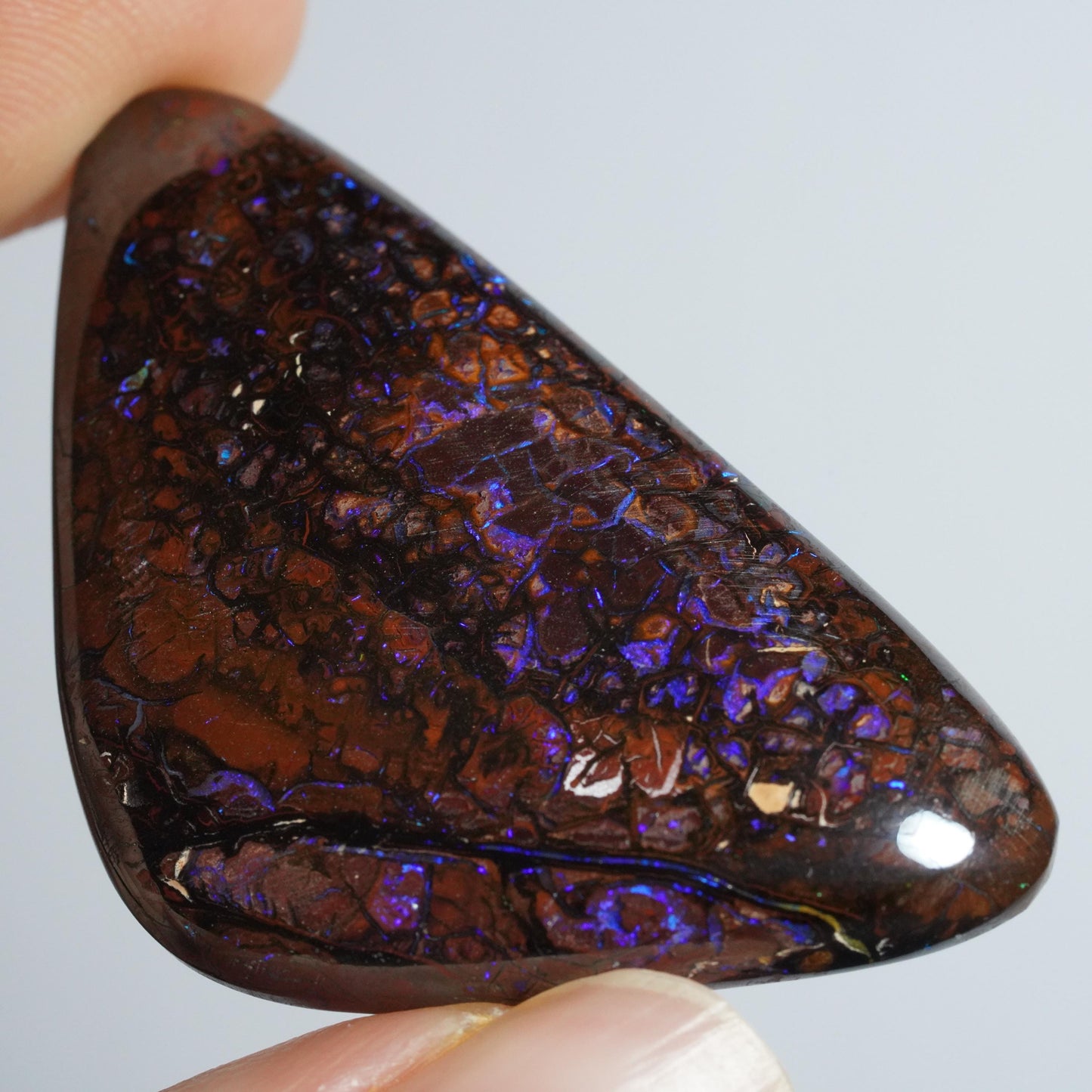 Boulder Opal Cut Stone