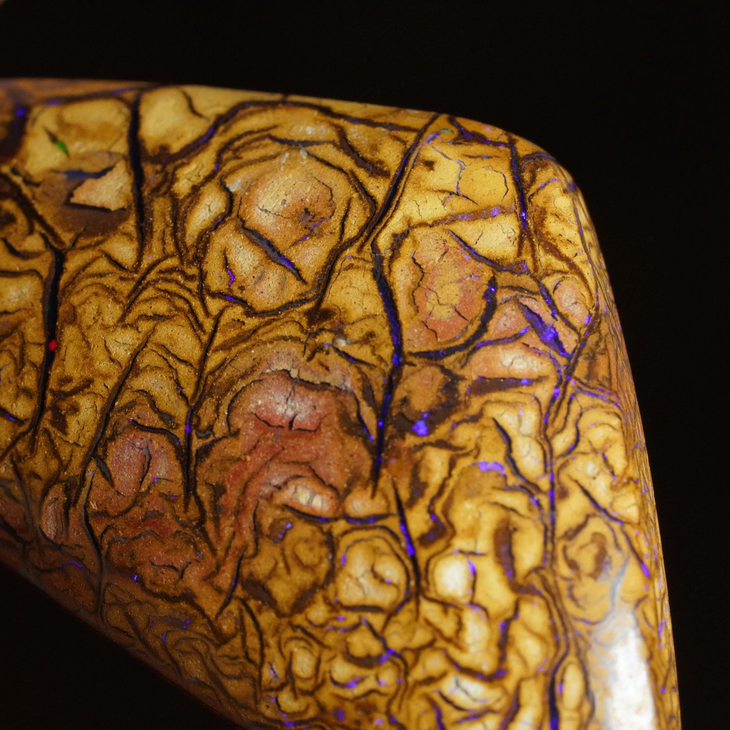 Boulder Opal Cut Stone