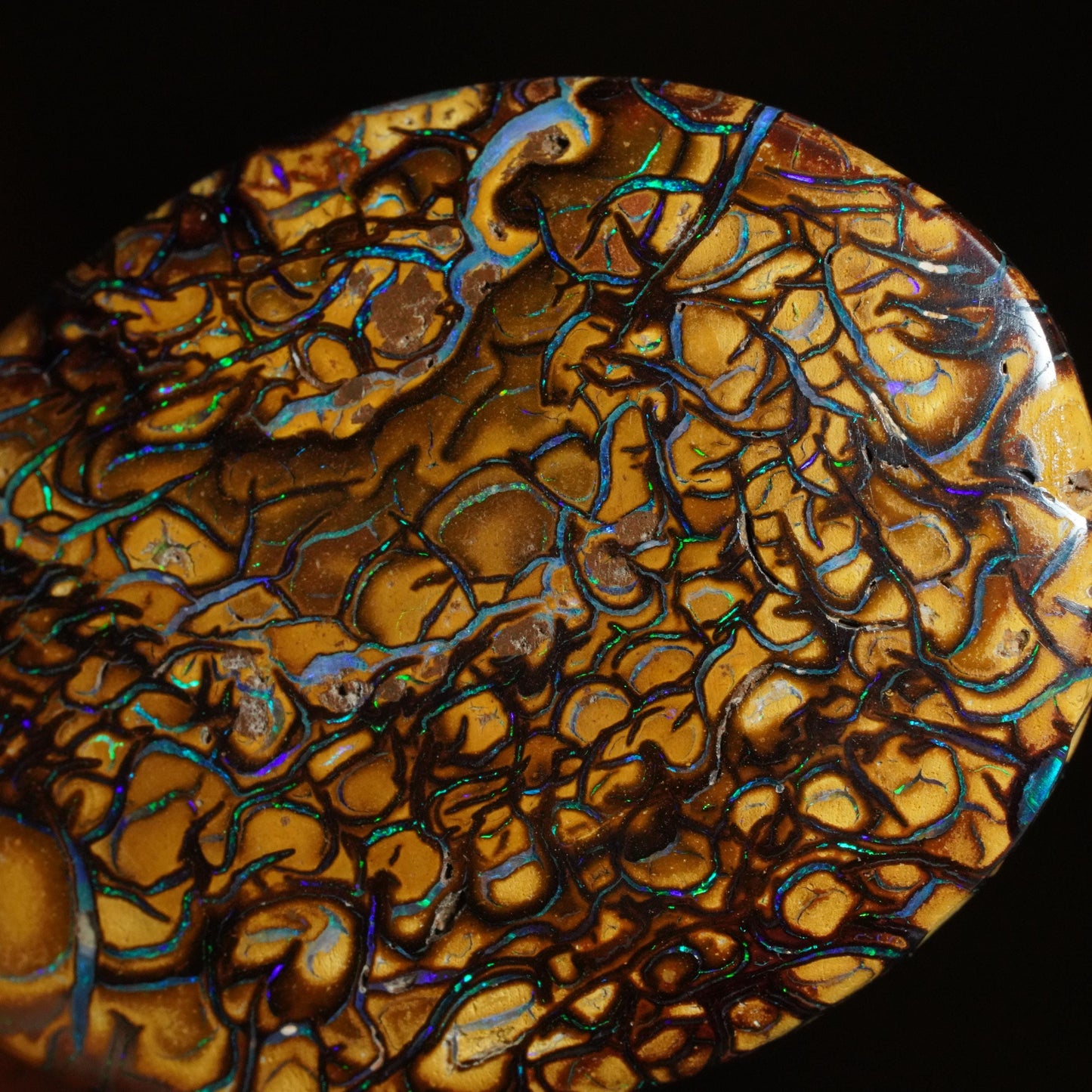 Boulder Opal Cut Stone
