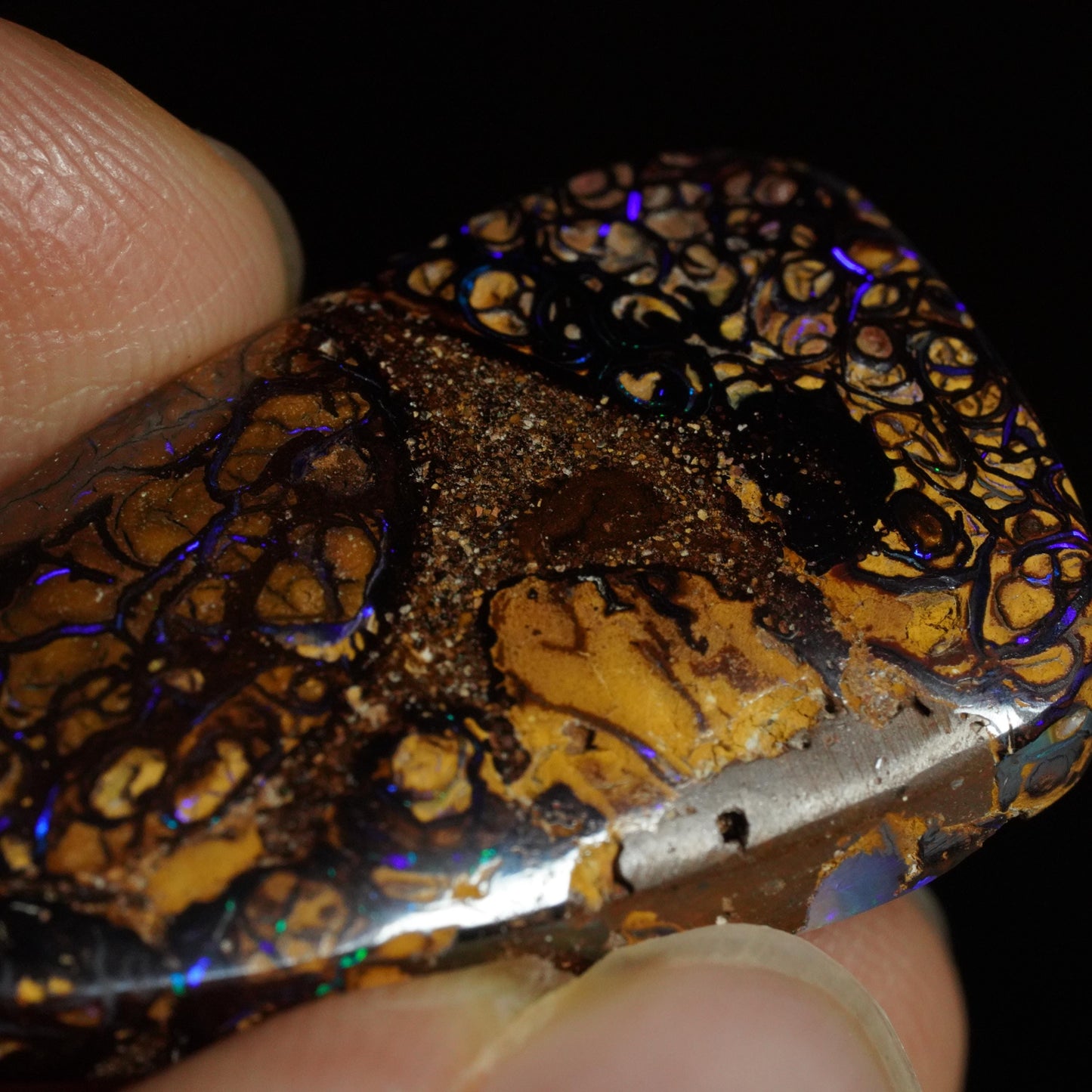 Boulder Opal Cut Stone