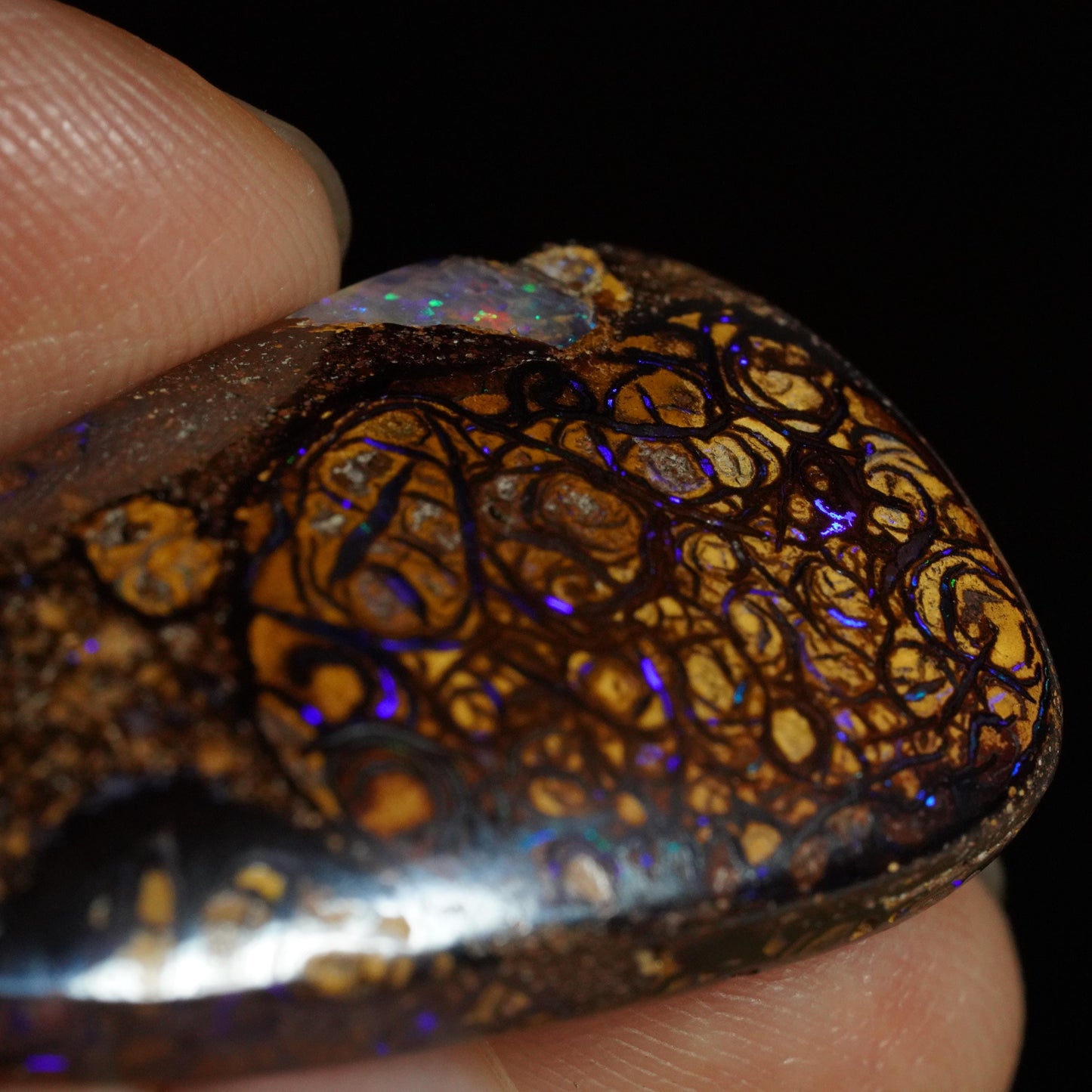Boulder Opal Cut Stone