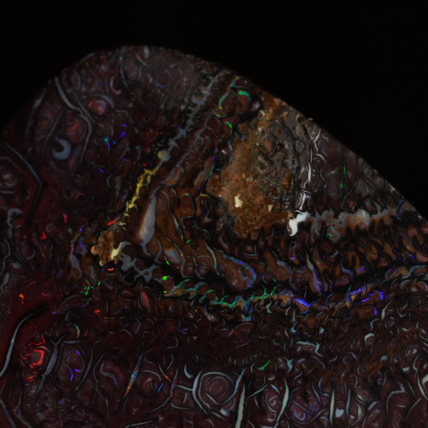 Boulder Opal Cut Stone