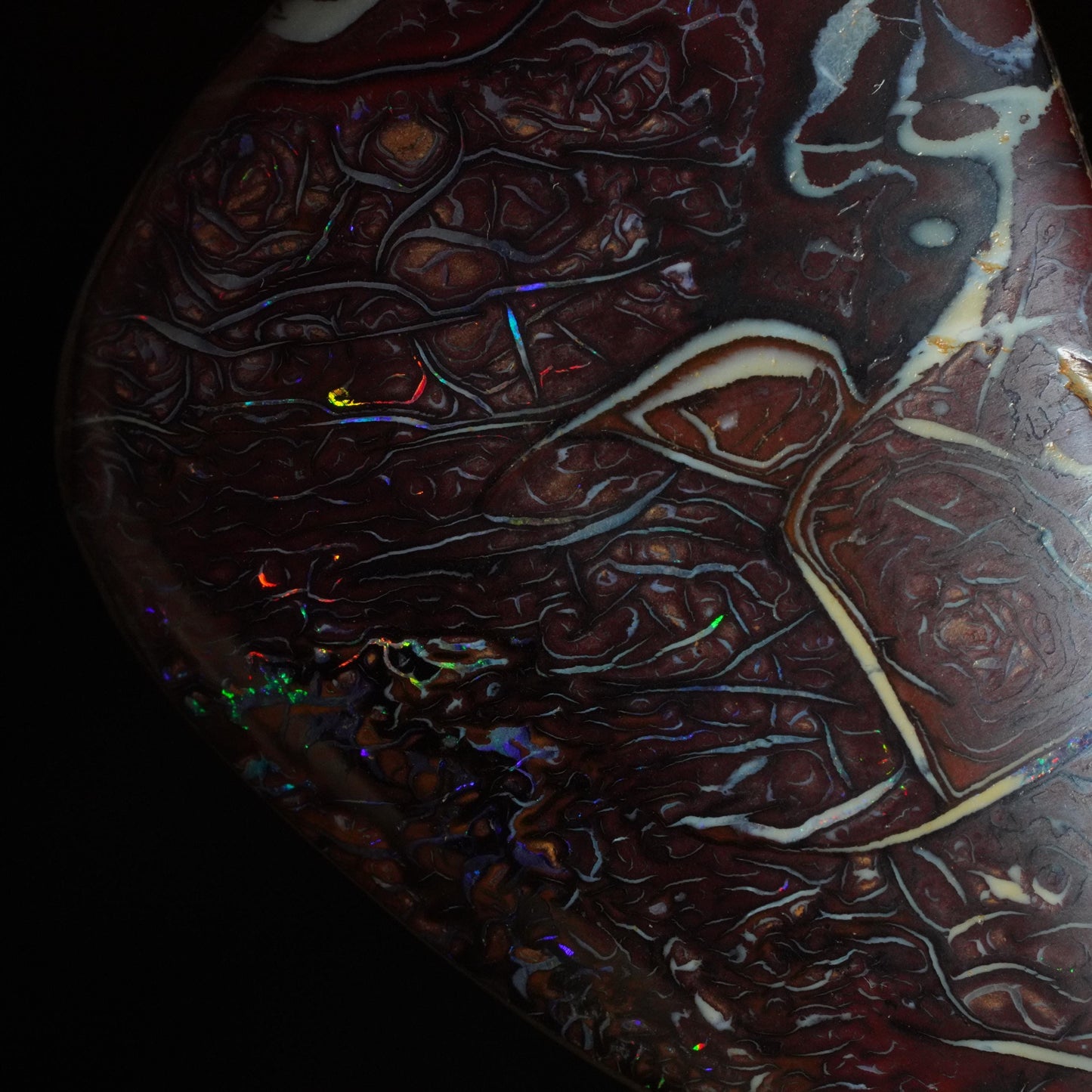 Boulder Opal Cut Stone