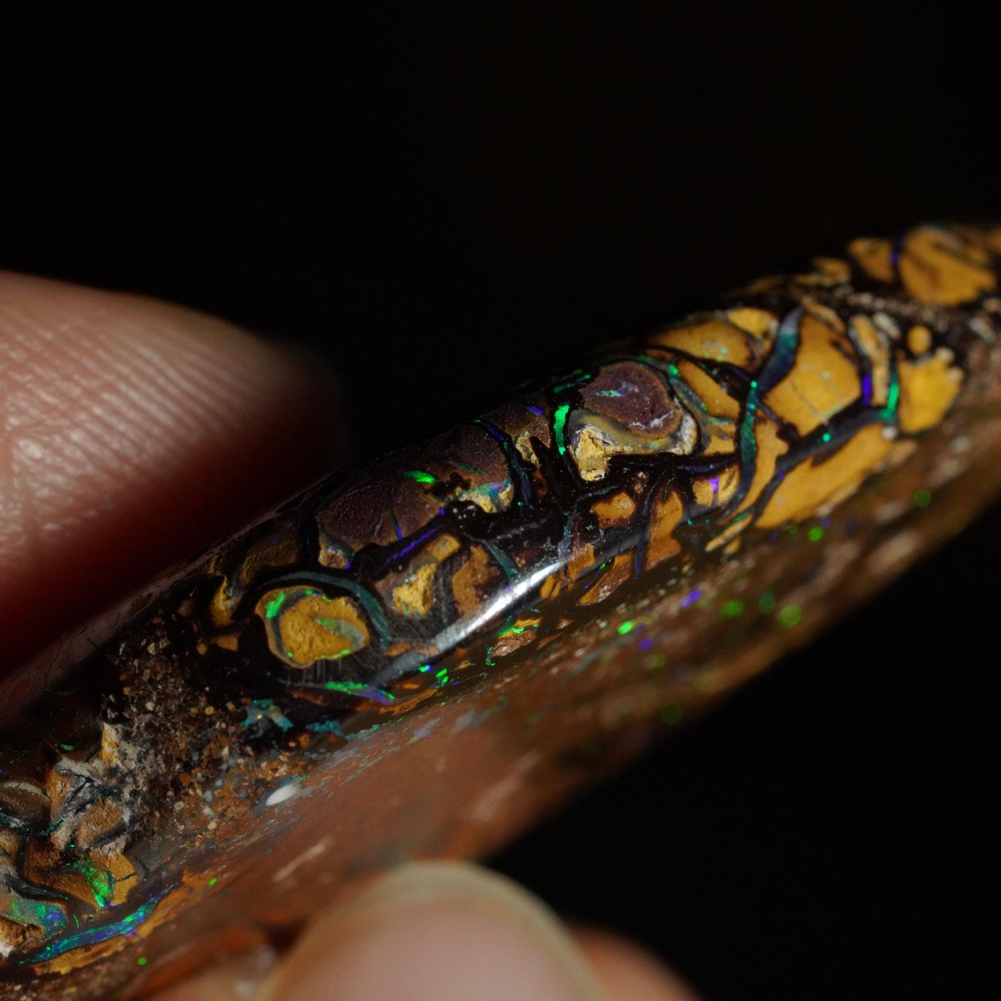 Boulder Opal Cut Stone