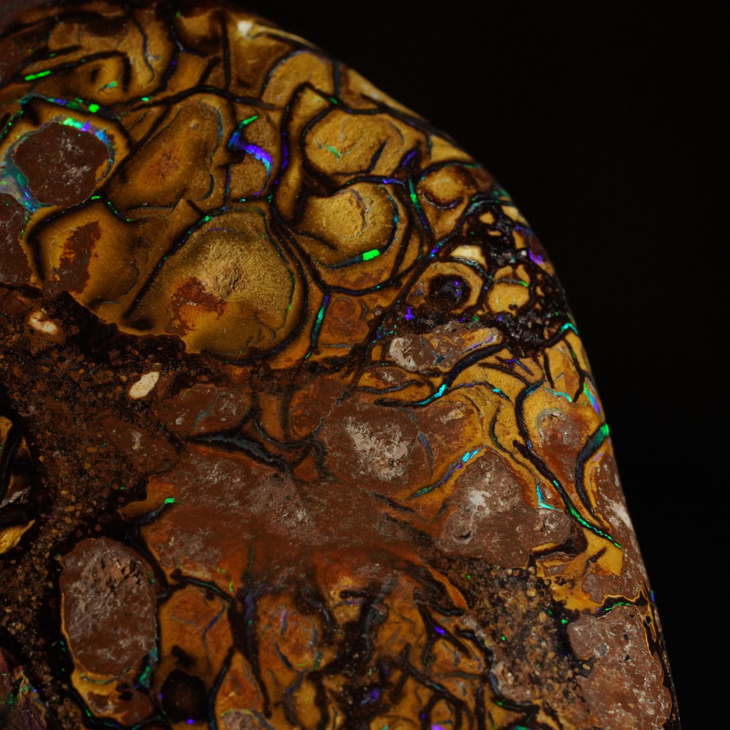 Boulder Opal Cut Stone