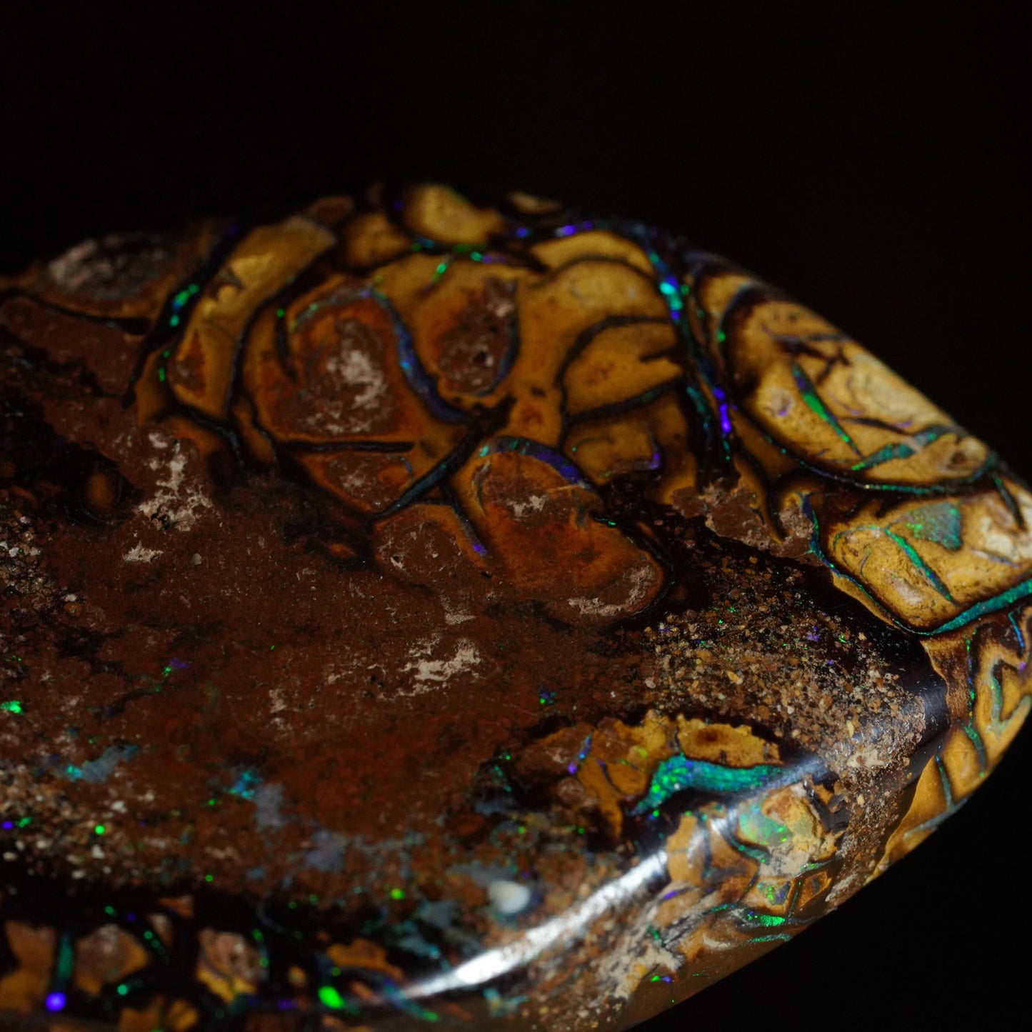 Boulder Opal Cut Stone