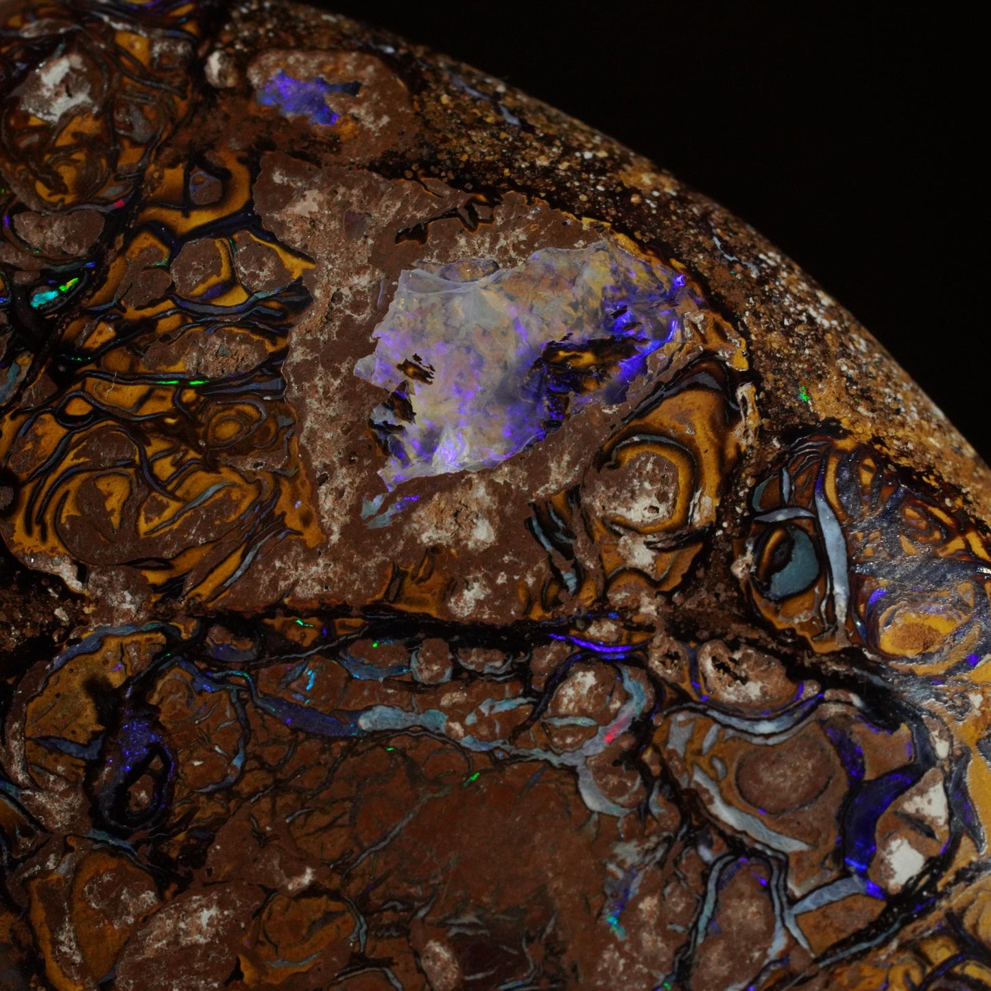 Boulder Opal Cut Stone