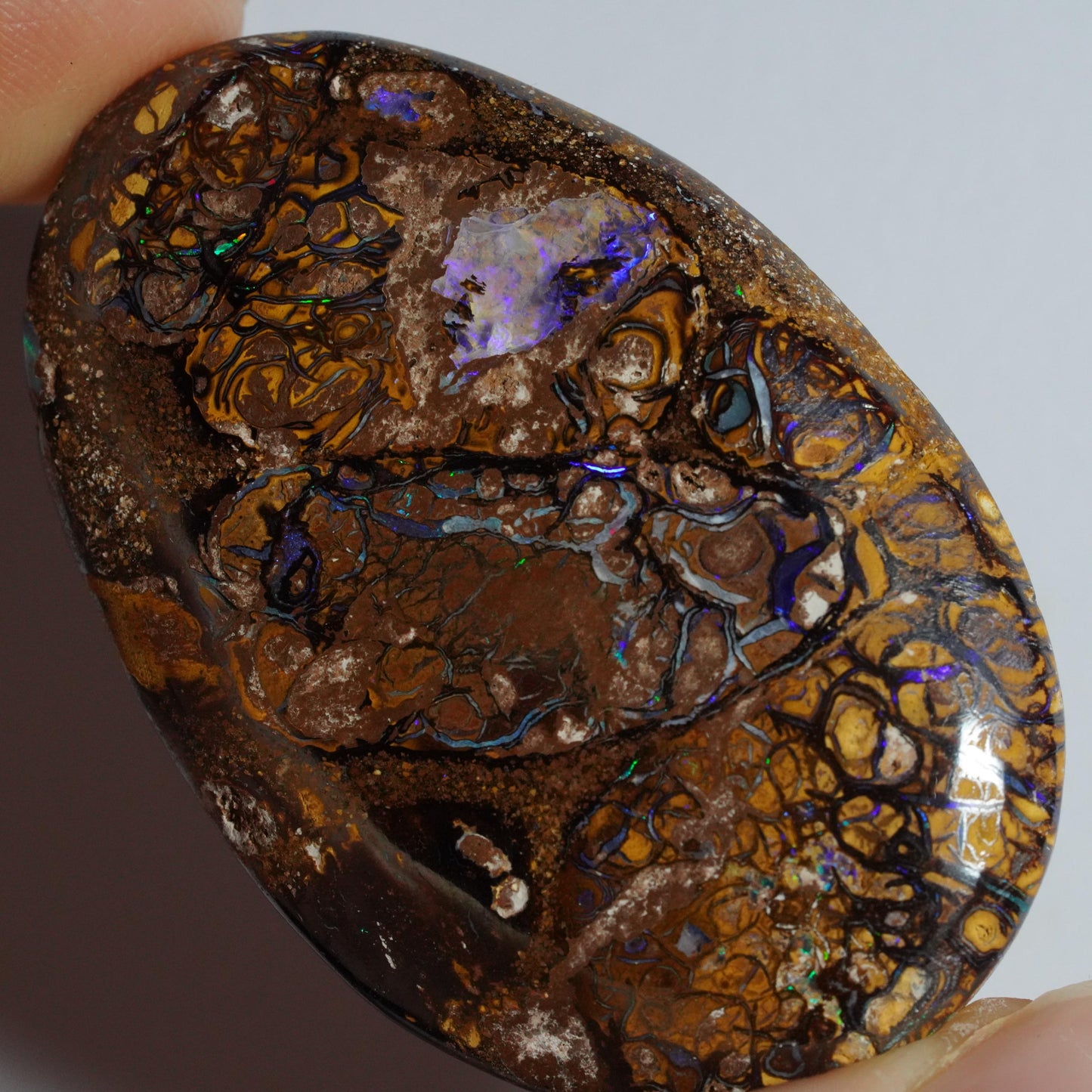 Boulder Opal Cut Stone