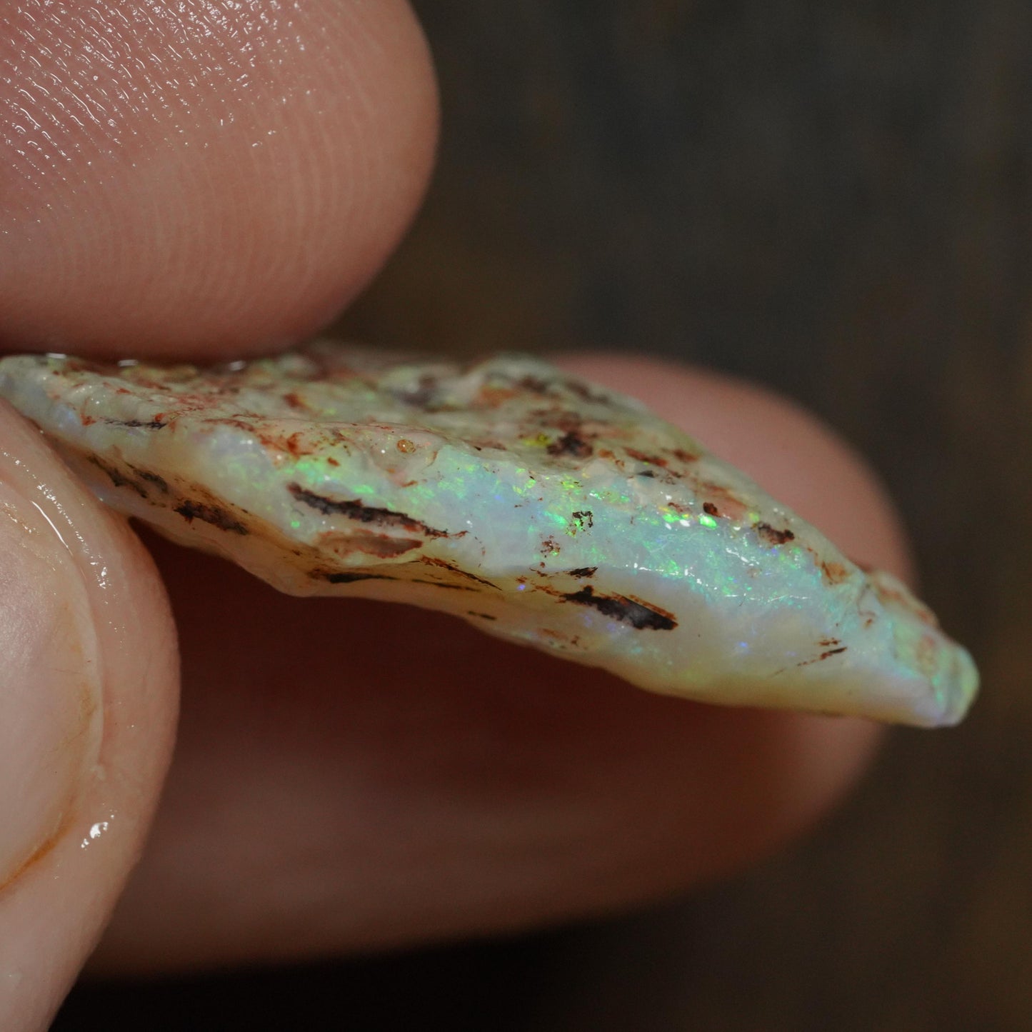 Australian Rough Opal