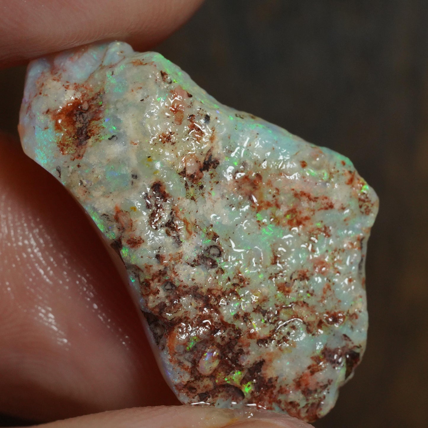Australian Rough Opal