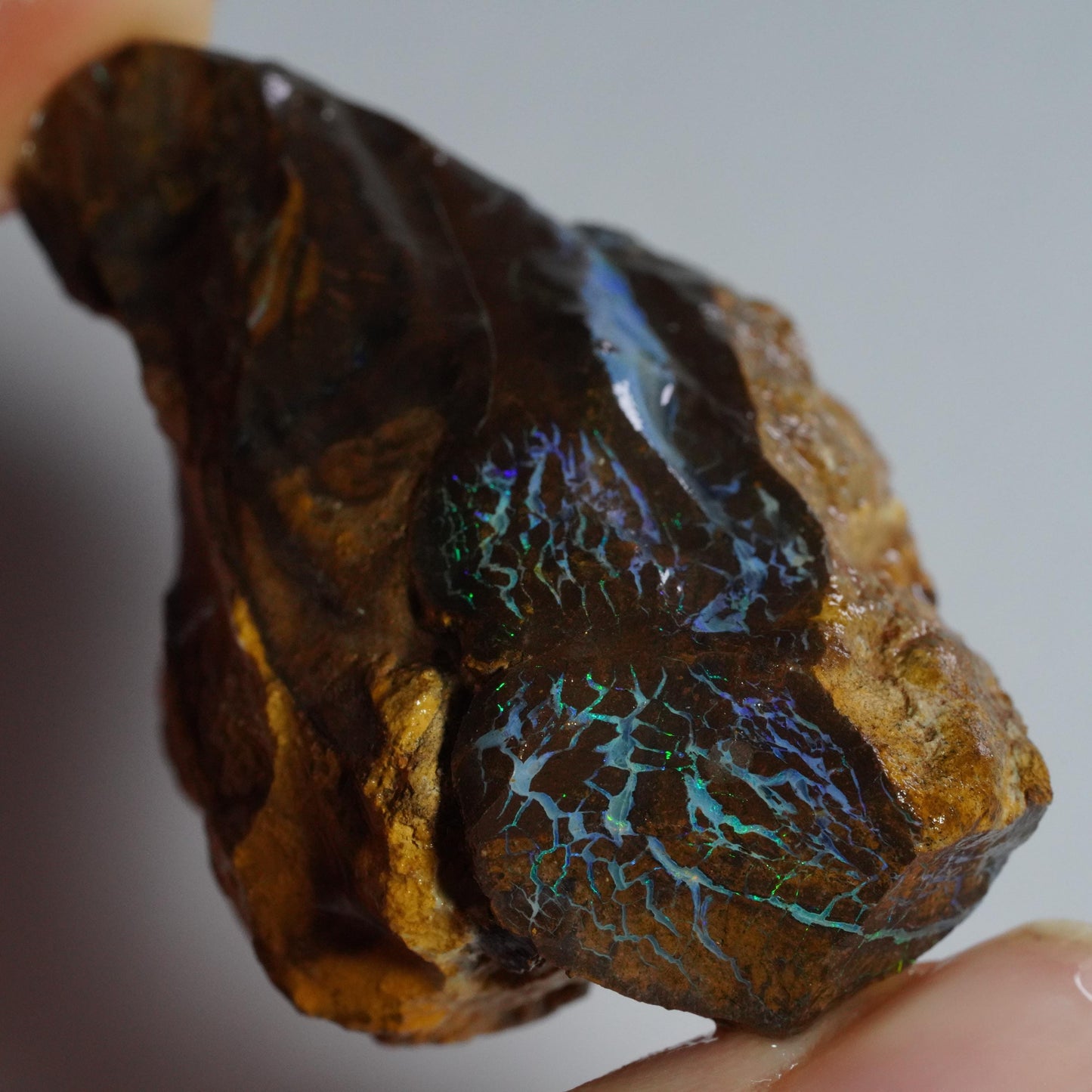 Boulder Opal