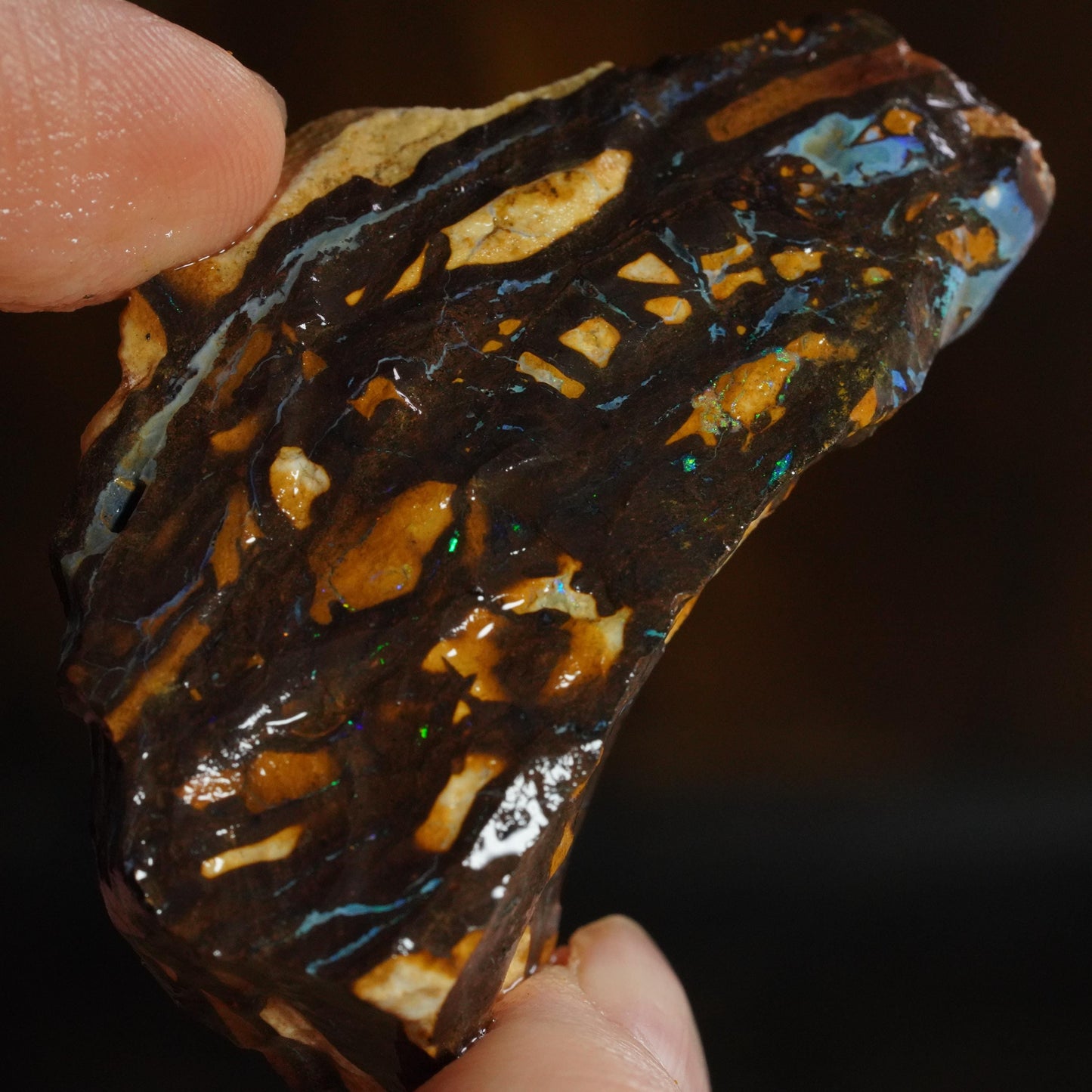 Boulder Opal