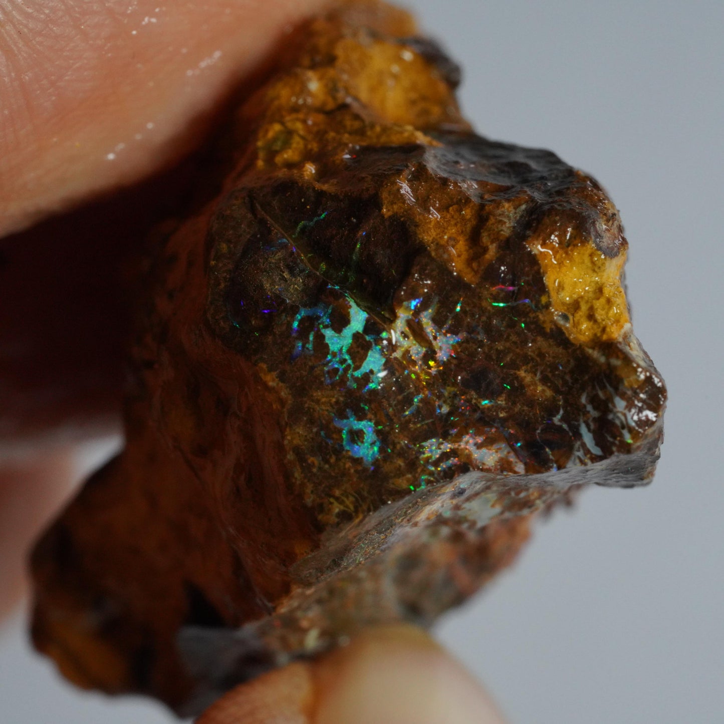 Boulder Opal