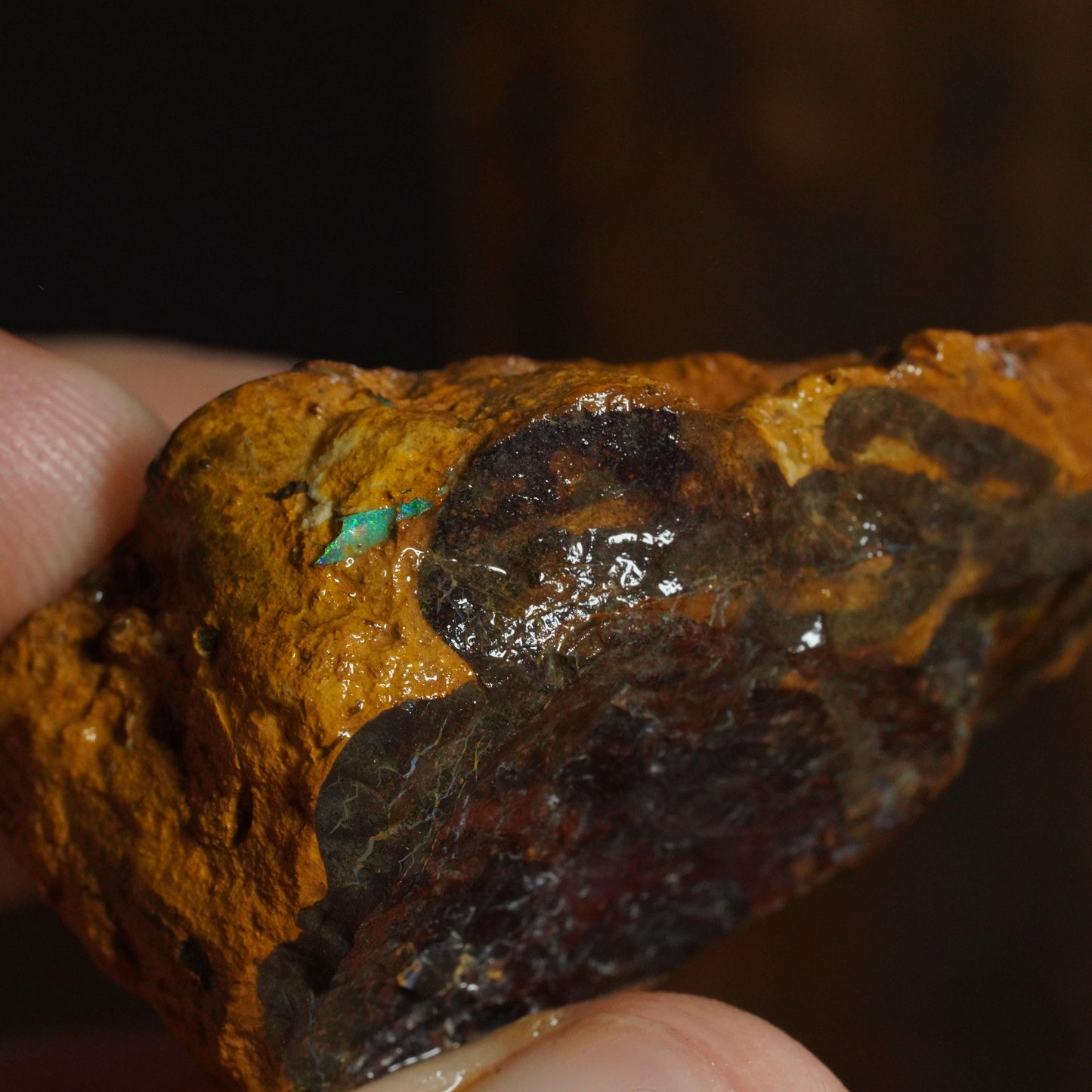 Boulder Opal
