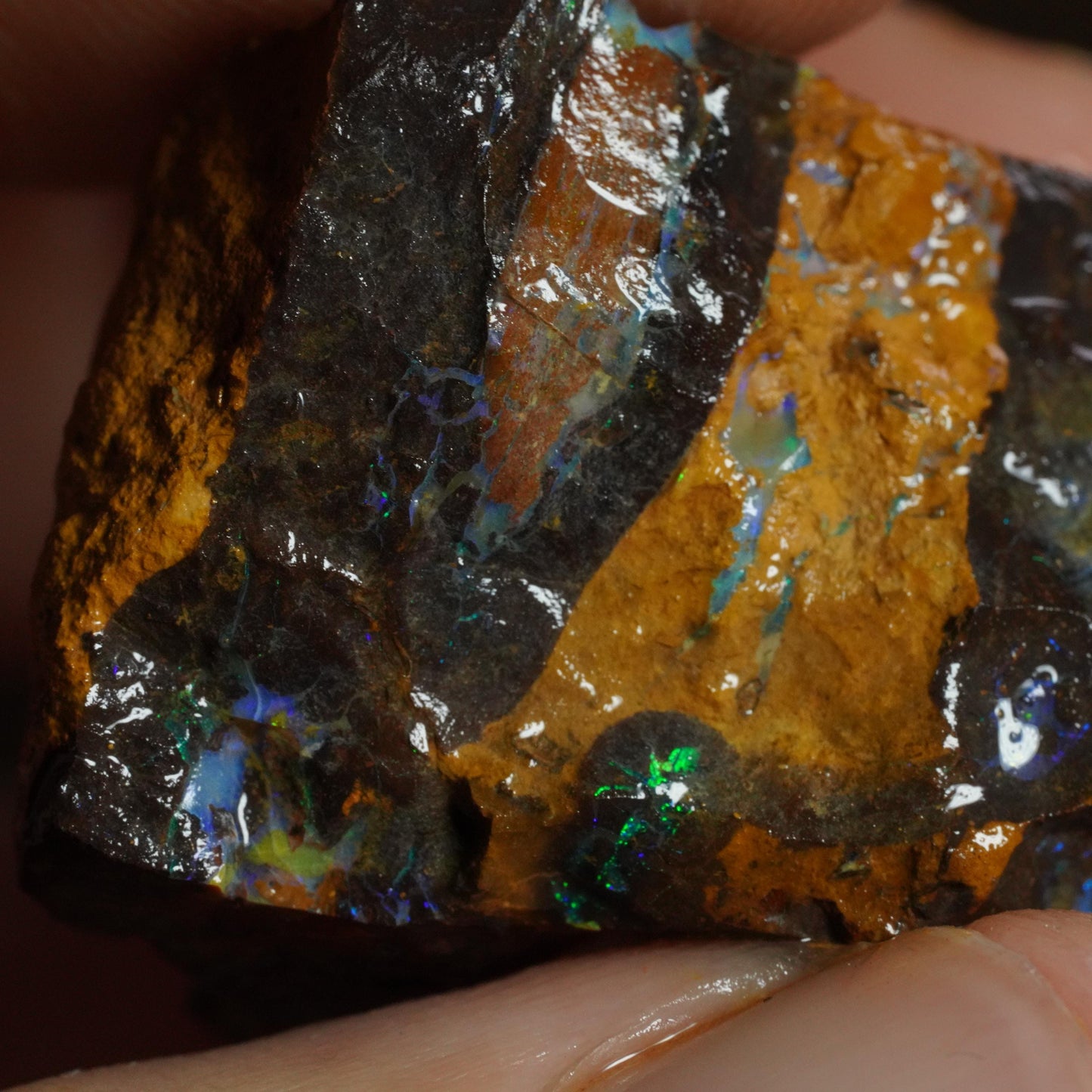 Boulder Opal