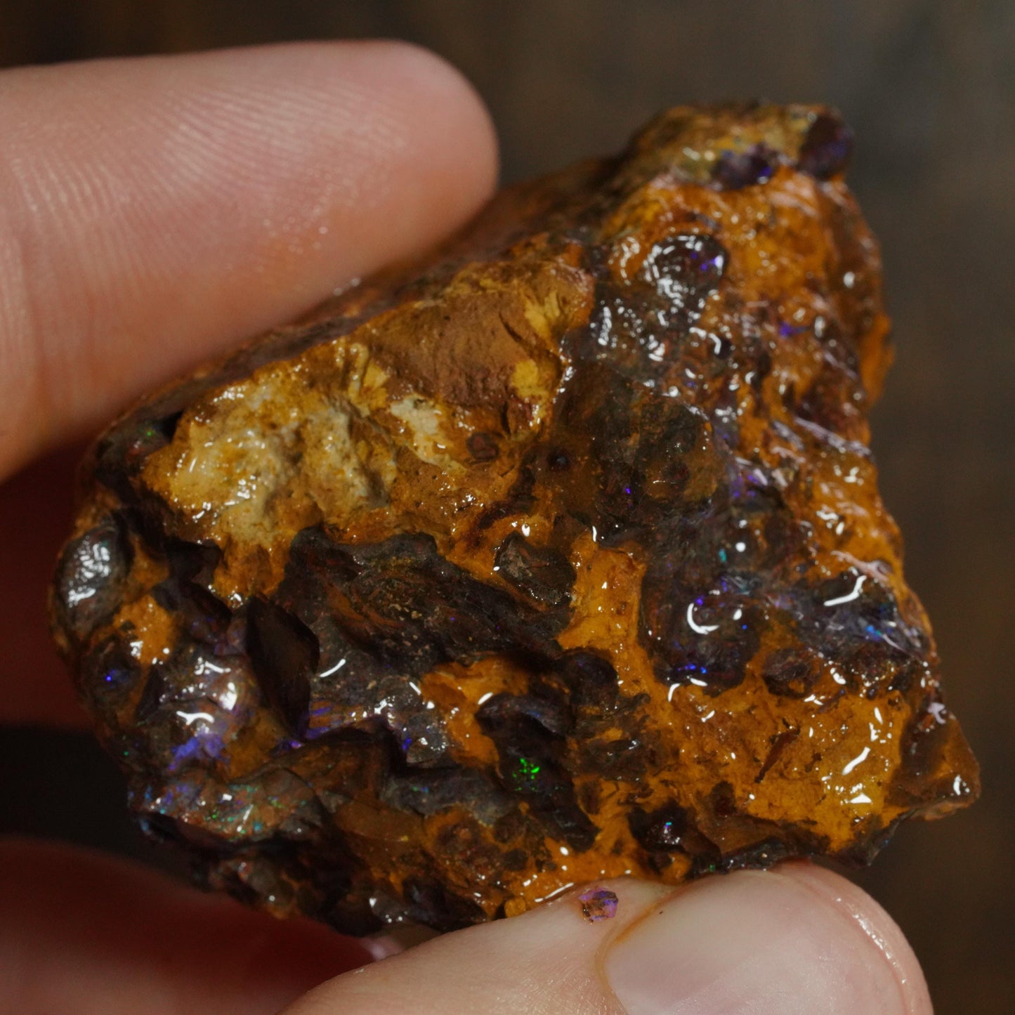 Boulder Opal