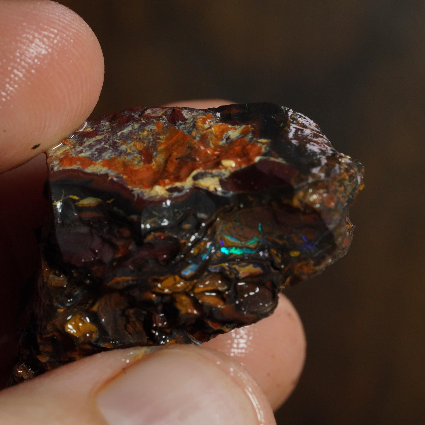 Boulder Opal